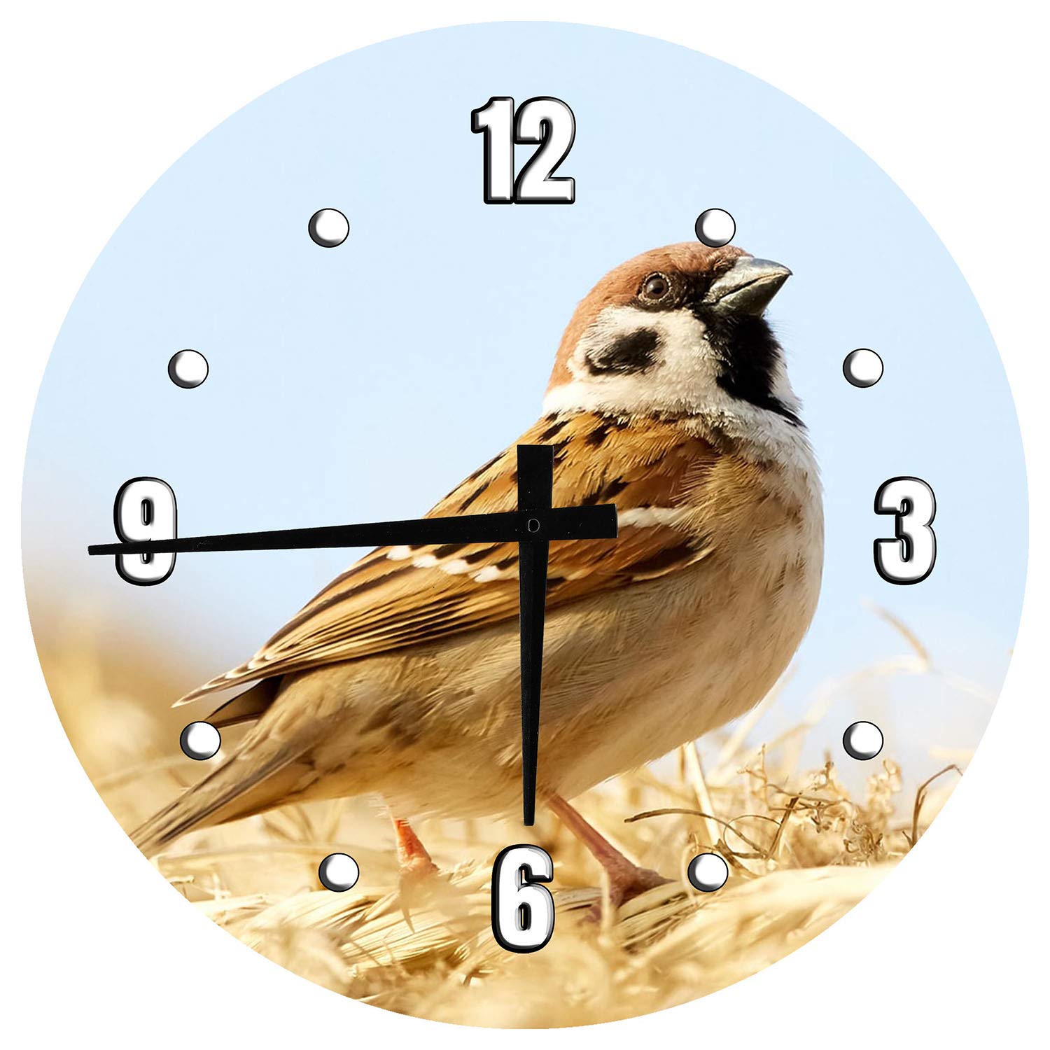 24 Inch Large Round Wall Clock - Bird Blue Sky Tan House Sparrow Design, Battery Operated, Perfect for Living Room, Bedroom, or Office Decor