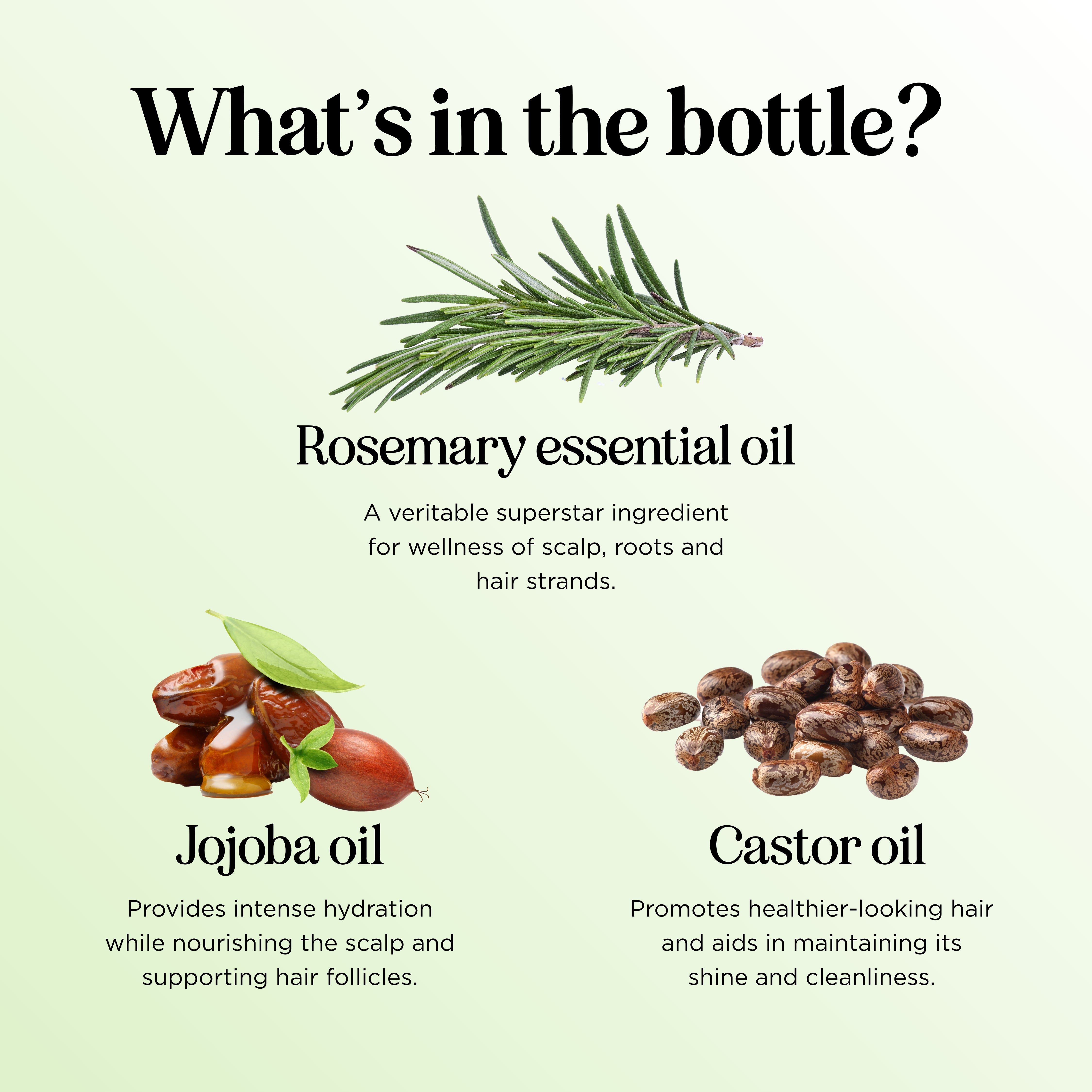 BOOST Rosemary Hair Oil for Hair Growth & Thickness - Natural Scalp Treatment for Dry, Damaged Hair - Perfect for Daily Use & Styling