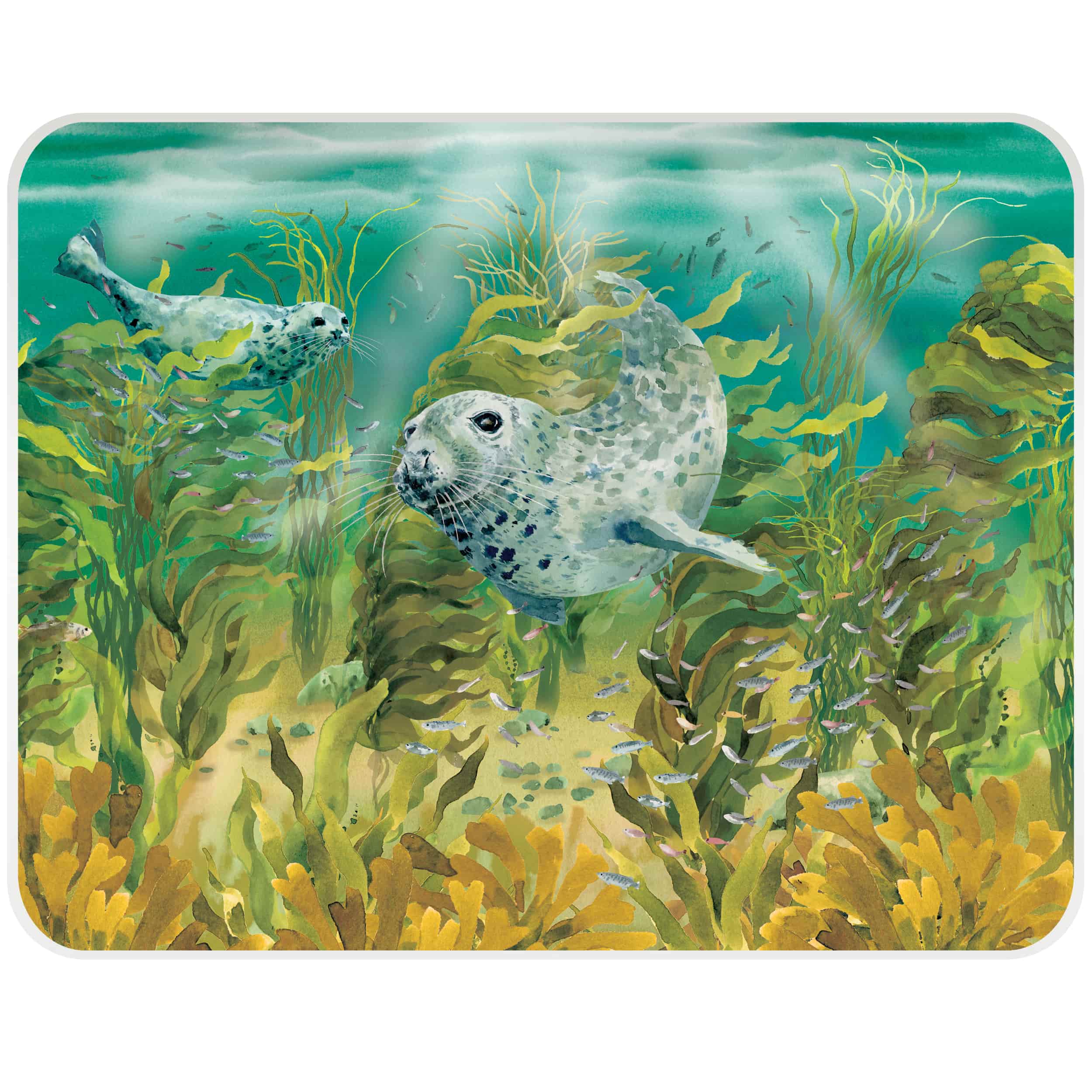 National Trust Seals Premium Worktop Protector - Durable Kitchen Countertop Cover for Cutting, Cooking & Food Prep | Heat & Scratch Resistant