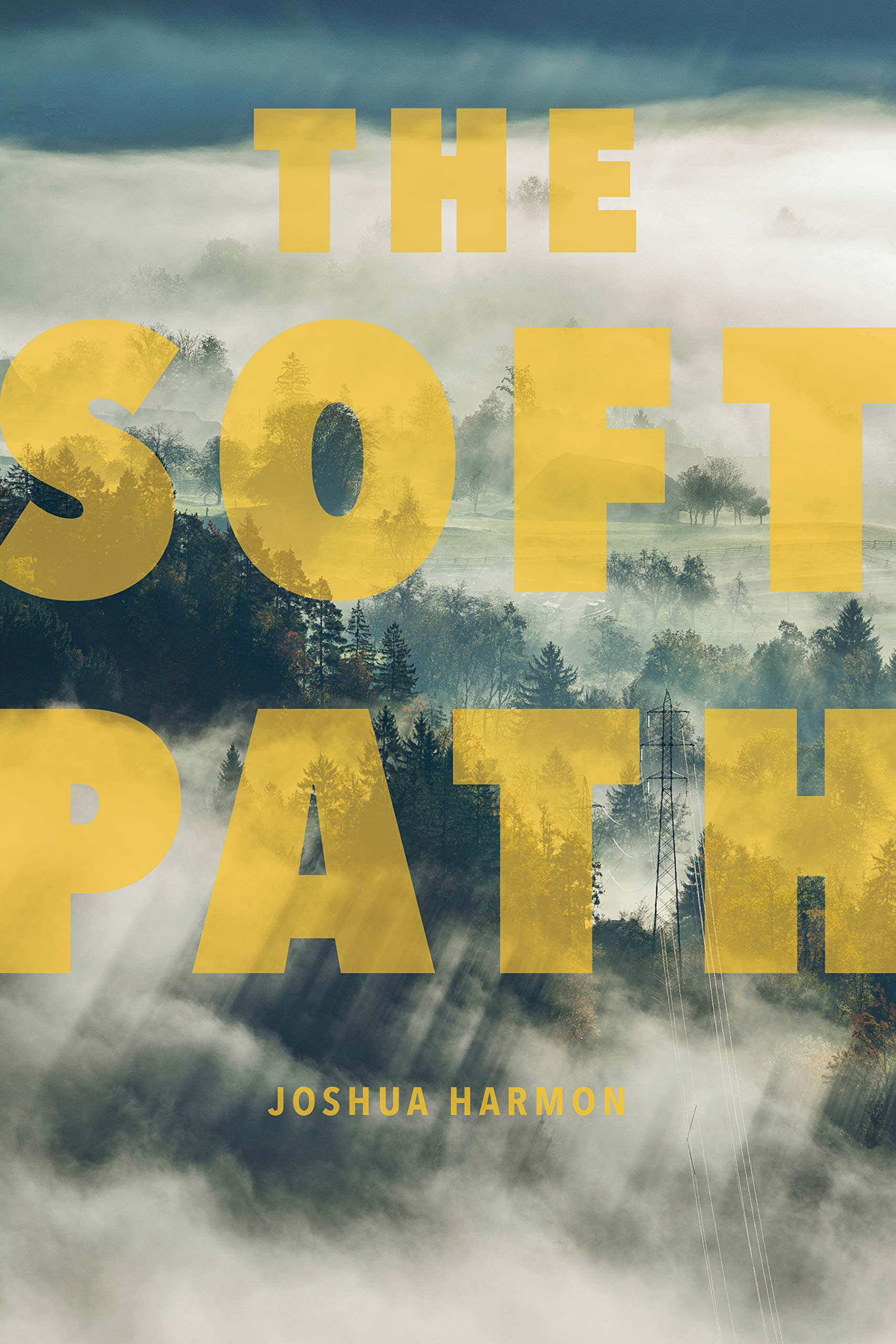 The Soft Path (Akron Series in Poetry) - Award-Winning Poetry Collection for Literature Lovers & Book Clubs | Perfect for Reading, Gifting & Literary Discussions