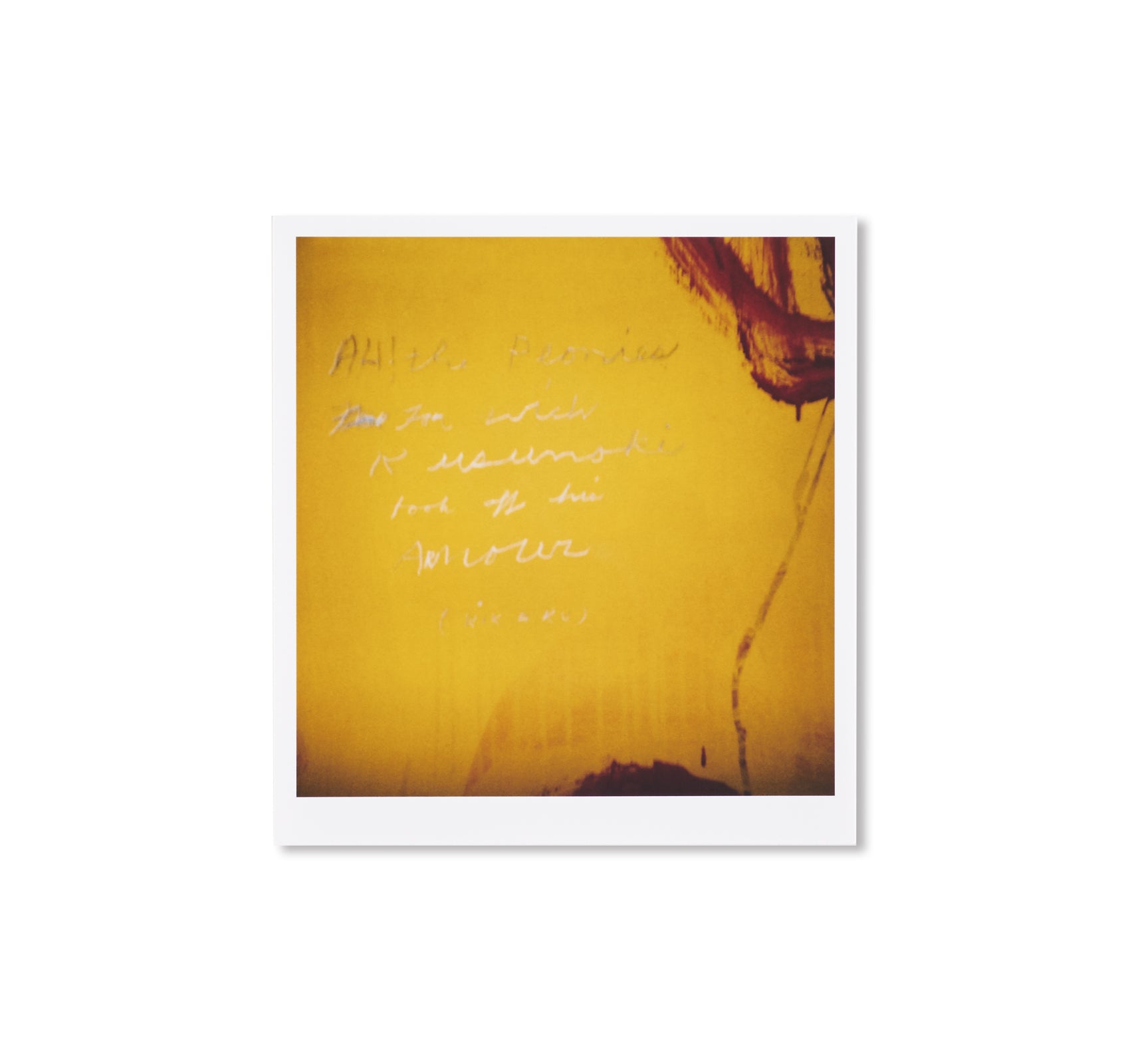 40 Photographs of Cy Twombly's Exhibition 'Blooming, A Scattering of Blossoms and Other Things' by François Halard - Art Book for Collectors & Museum Enthusiasts