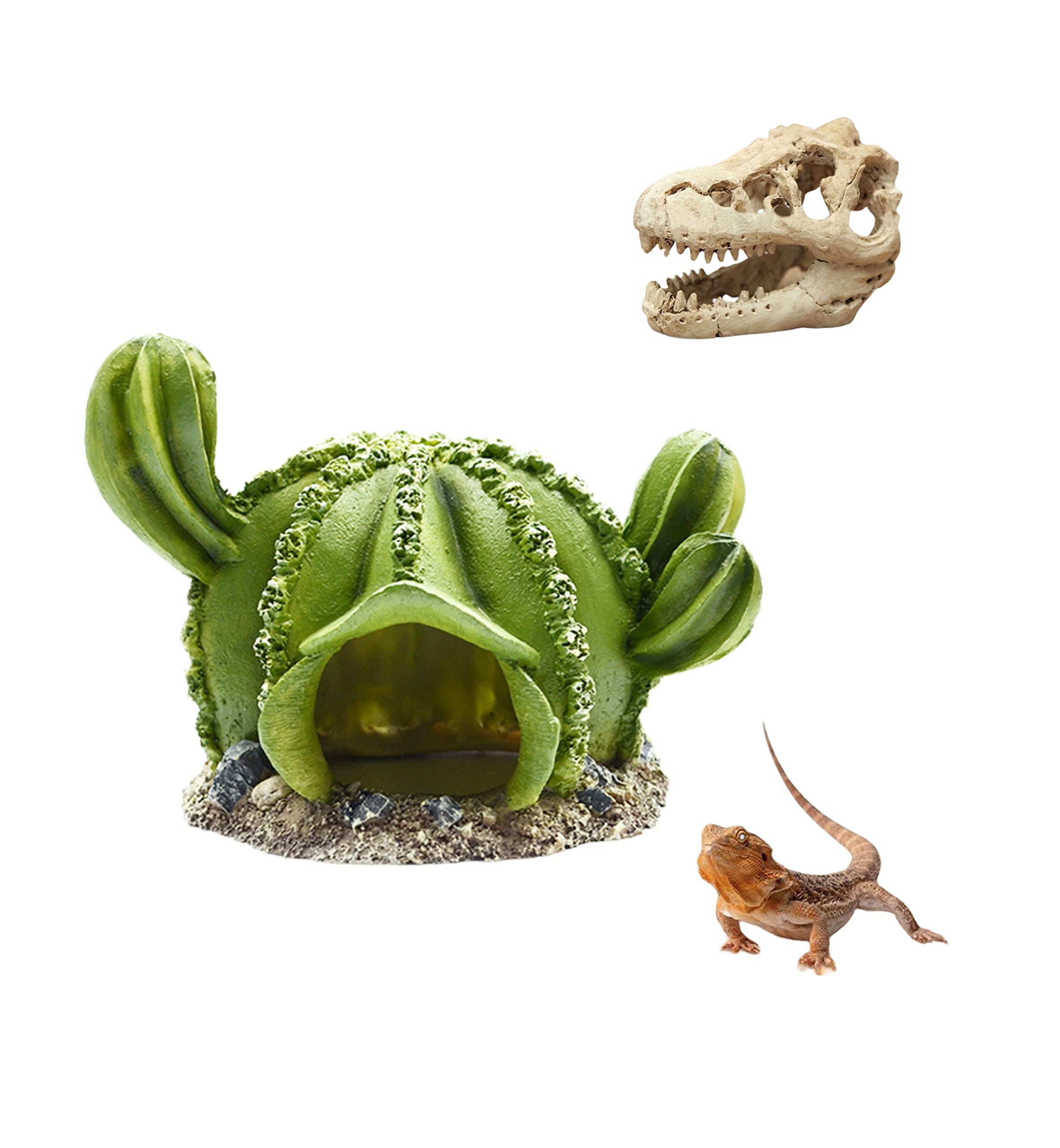 Reptile Hideouts with Dinosaur Skull & Resin Cactus - Desert Aquarium Tank Habitat Decor for Bearded Dragon, Chameleon, Leopard Gecko & Snake - Perfect for Terrarium, Vivarium & Reptile Enclosure (Ball Cactus Design)