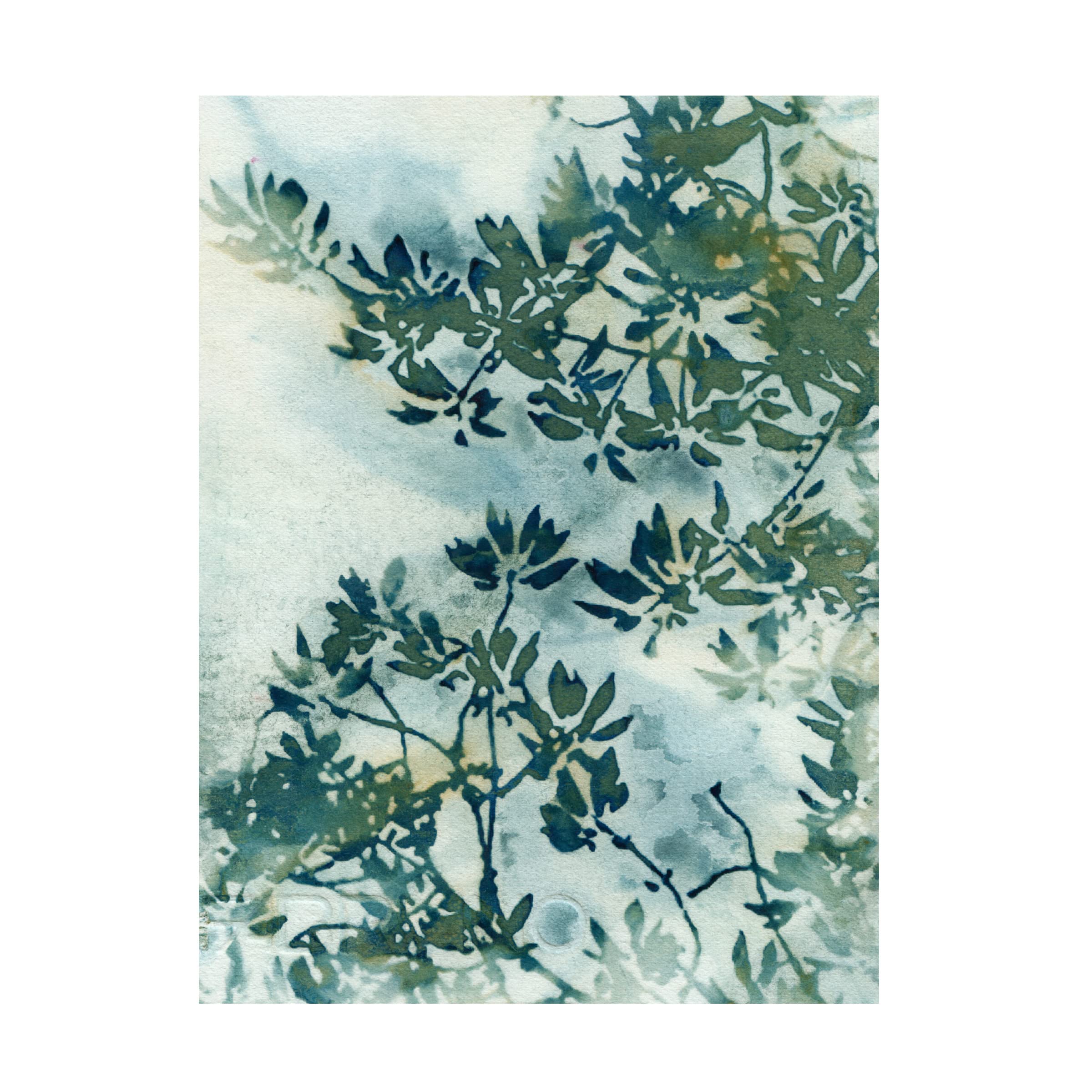 Trademark Fine Art 'Wallpaper' Canvas Print by Krista McCurdy - Modern Home Decor for Living Room, Bedroom & Office