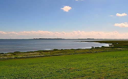 Seedeich View of Port Borkum North Sea - 20x30 Inch Laminated Wall Art Poster with Vibrant Colors & HD Print - Perfect for Living Room, Bedroom, Office Decor
