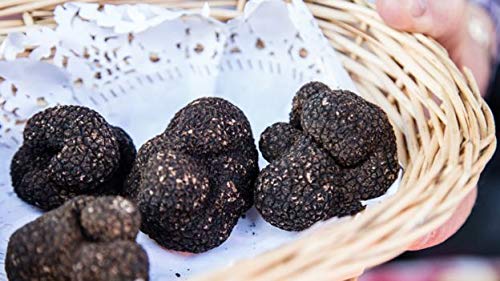 Premium Black Summer Truffle (Tuber aestivum) - Gourmet Truffle Sauce for Pasta, Risotto, Meat & Sushi - 5 x 80g Jars - Perfect for Fine Dining, Home Cooking & Gourmet Gifts