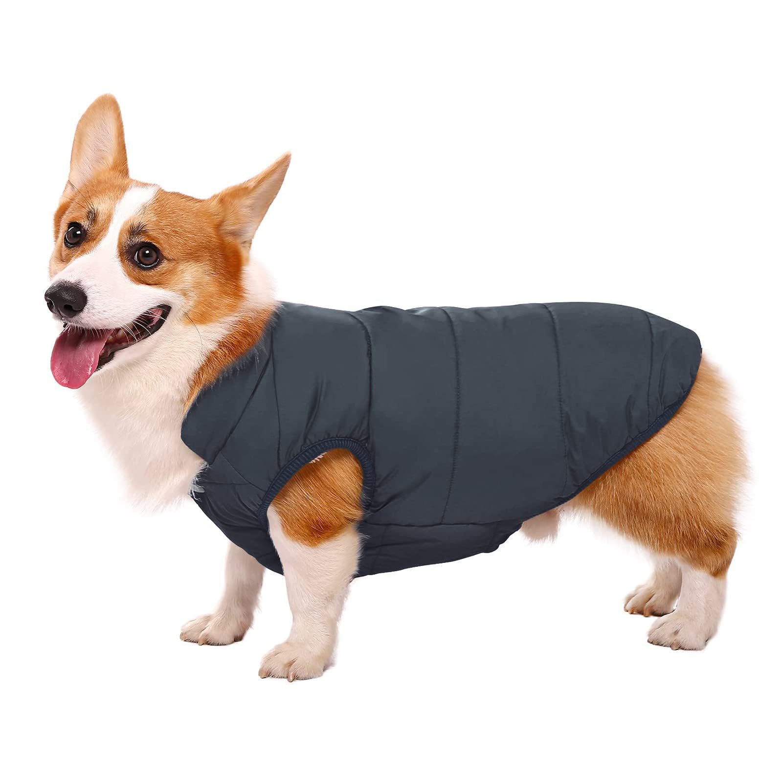 ASENKU Windproof & Waterproof Winter Dog Jacket - Fleece Lined Warm Dog Coat for Cold Weather - Small Medium Large XL Dog Vest - Blue - Perfect for Outdoor Walks & Winter Adventures
