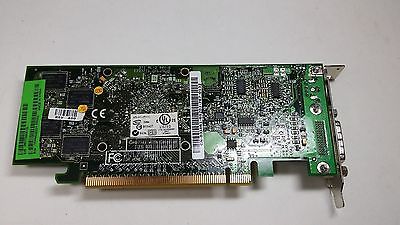 Dell ATI Radeon X1300 256MB Low Profile PCI Express Graphics Card with DMS-59 Output - Upgrade Your PC for Gaming, Multimedia & Office Work