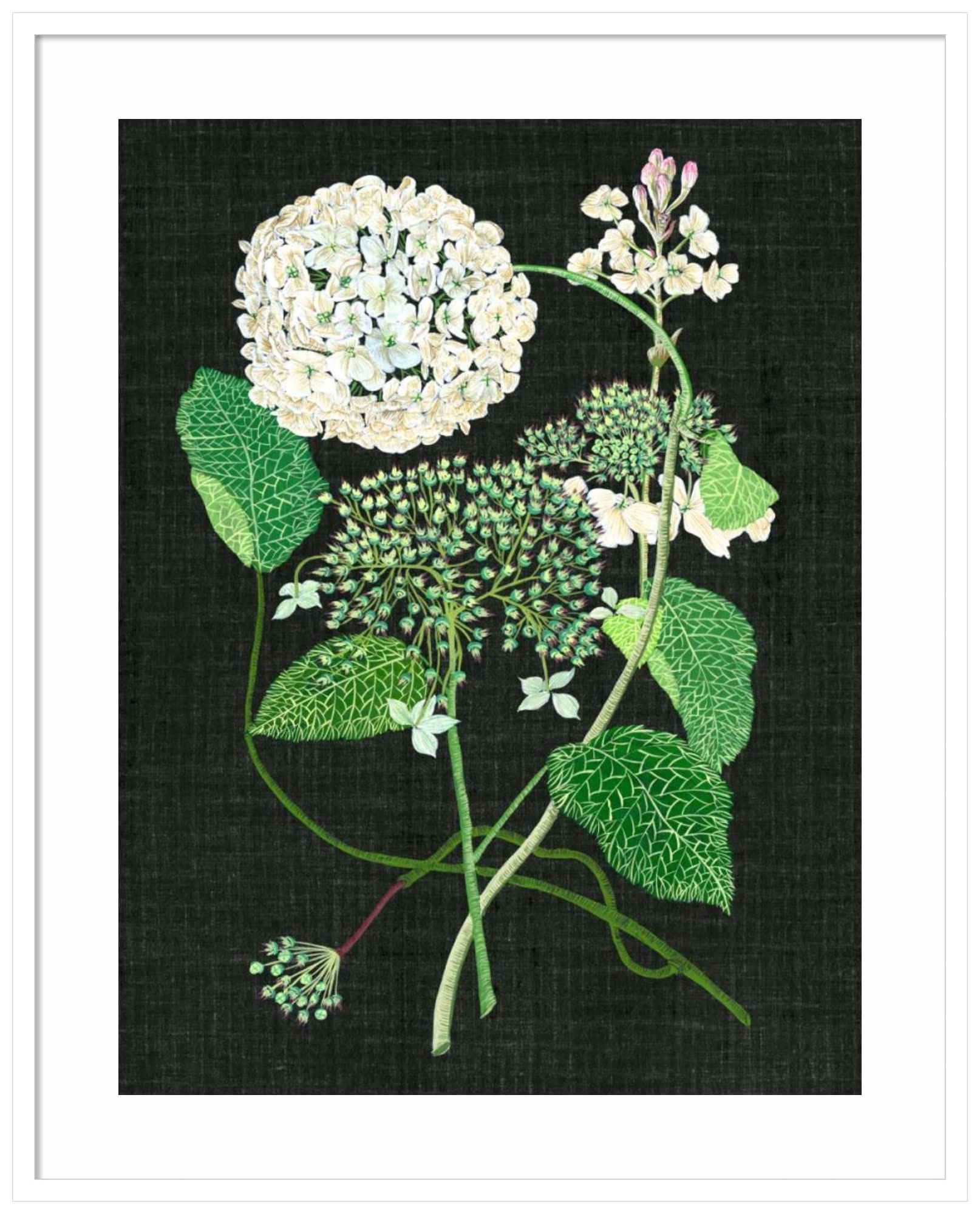 Amanti Art Framed Wall Decor - 41x33 White Hydrangea Botanical Print by Melissa Wang | Modern Contemporary Floral Painting | Large Canvas Artwork for Living Room, Bedroom, Bathroom & Office Decor | Perfect for Home, Apartment & Interior Design