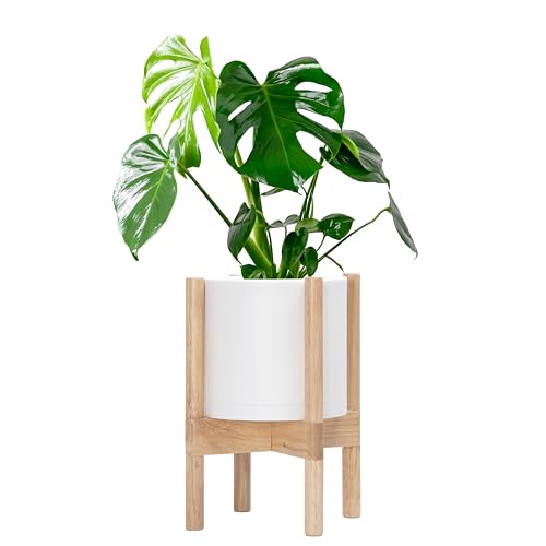 Matte White Pot + Natural Stand