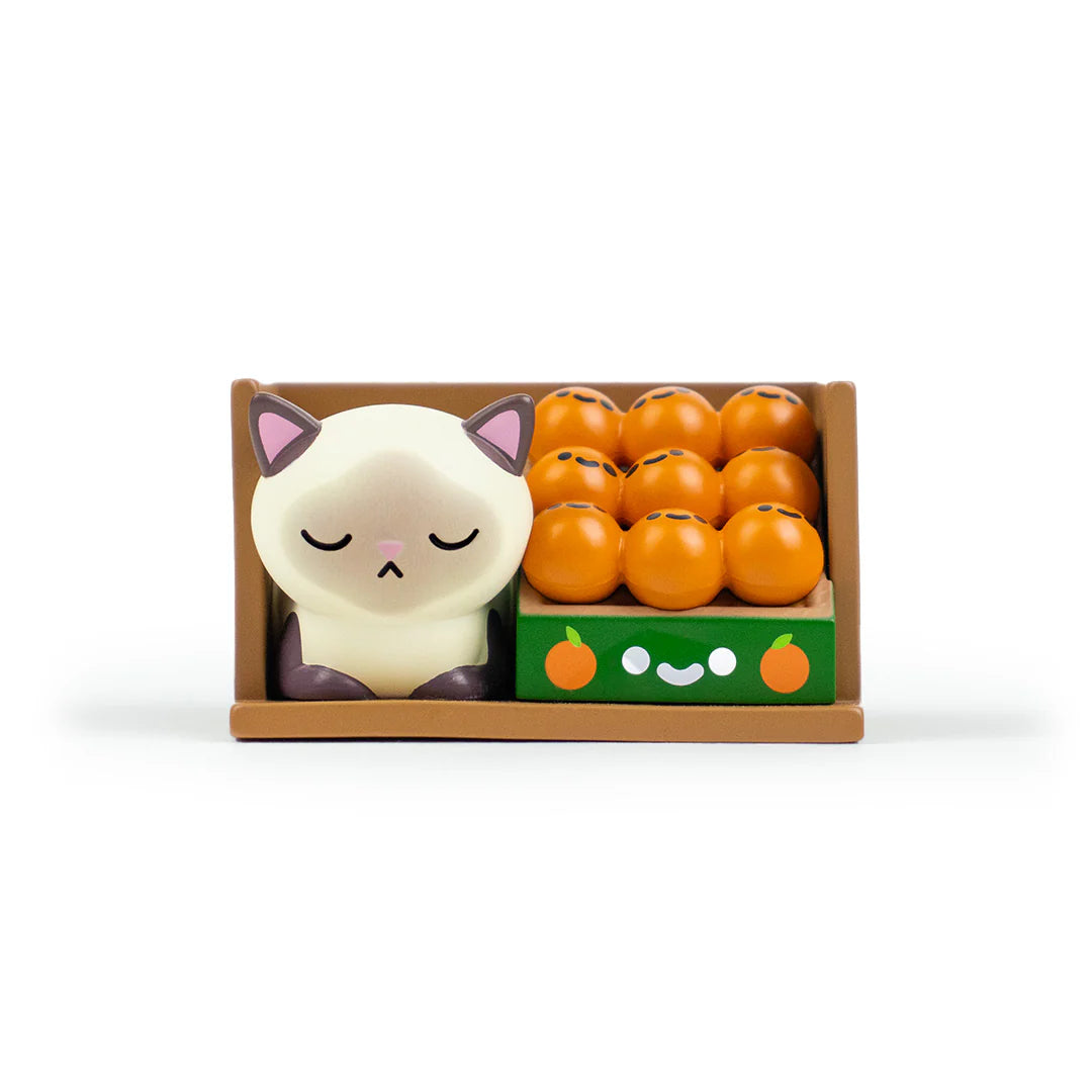 Bodega Kitties Mystery Box - Cute Cat-Themed Surprise Gift Box for Cat Lovers - Perfect for Birthdays, Holidays & Special Occasions