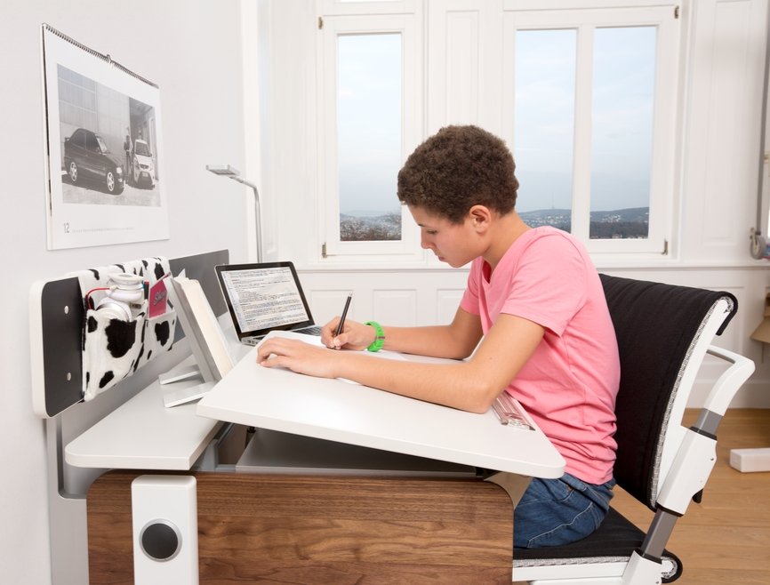 Champion Moll Panel - Premium Quality & Durable for Home, Office & Outdoor Use