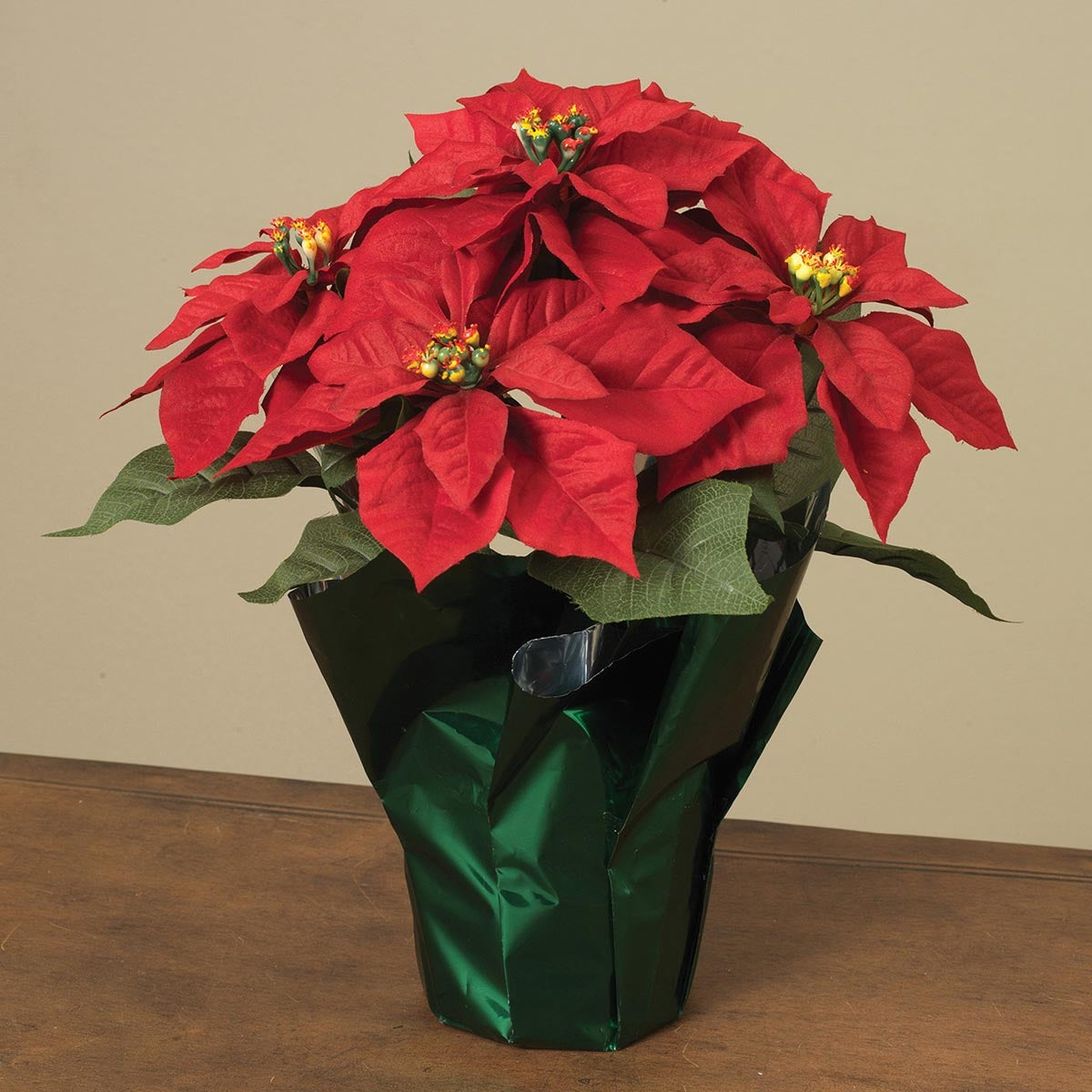14 Potted Poinsettia Plants in Festive Foil Pots - Perfect for Christmas Decorations, Holiday Gifts & Home Office Decor