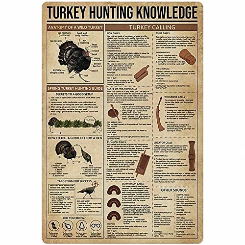 Turkey Hunting Knowledge