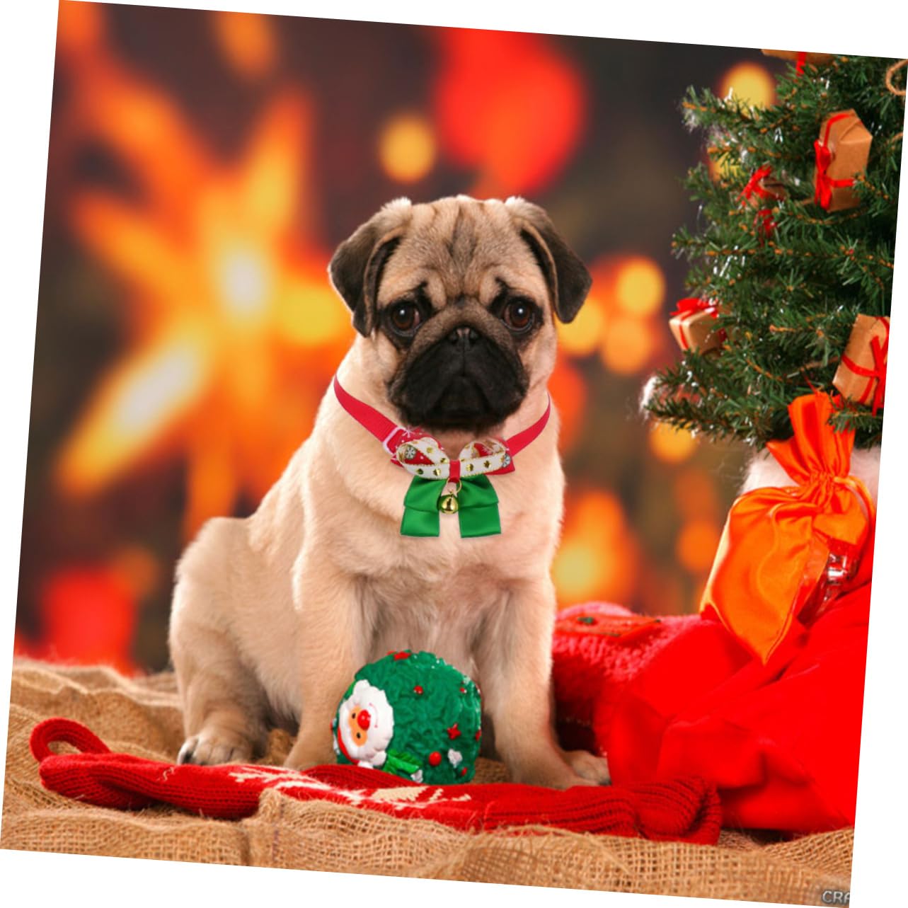 Balacoo Santa Suits 3pcs Pet Bow Tie & Scarf - Christmas Cat Costume for Holiday Parties