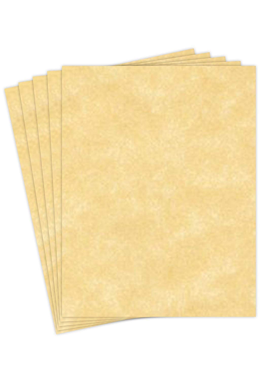 Premium Recycled Champagne Cardstock Paper - 65lb Cover (176gsm) 8.5
