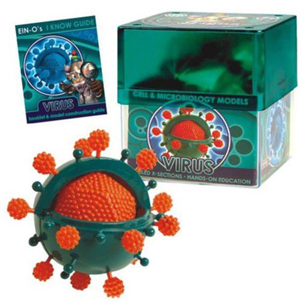 Bio Signs Interactive Virus Model - Educational Science Kit for Kids & Students - Perfect for Classroom Learning & STEM Activities