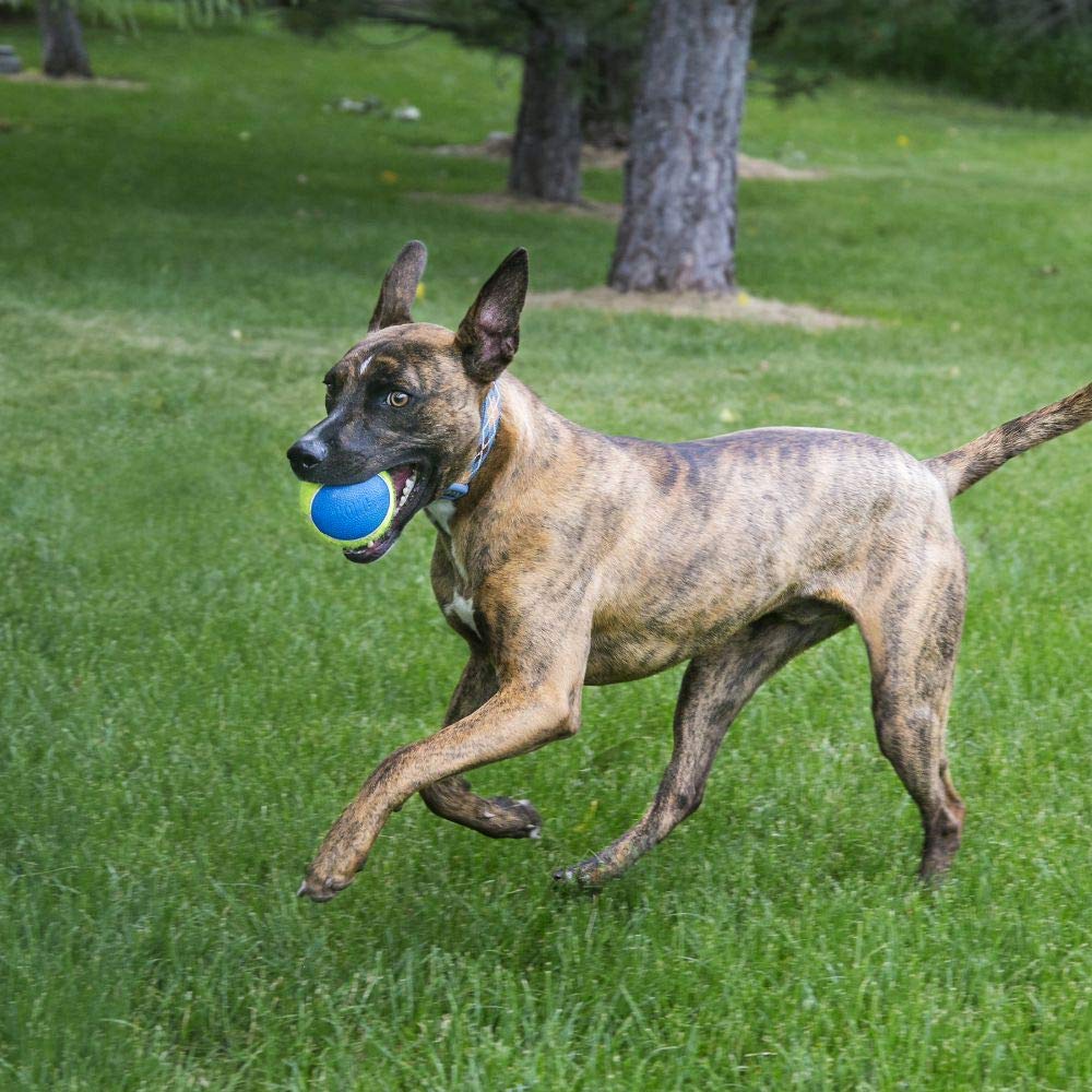KONG Squeakair Ultra Balls - Durable Squeaky Tennis Ball Dog Toys for Medium Dogs (3 Pack) - Gentle on Teeth, Interactive Play & Fetch Games - Perfect for Indoor & Outdoor Dog Activities