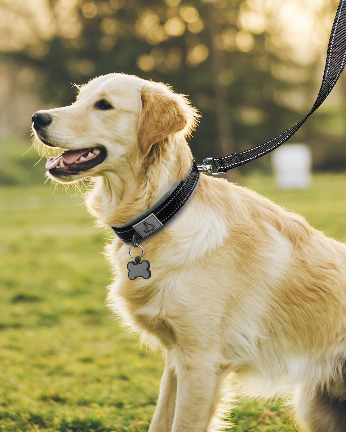 Joytale Heavy Duty Neoprene Padded Dog Collar - Adjustable Reflective Pet Collar with Durable Metal Buckle for Large Dogs - Perfect for Walking, Training & Outdoor Adventures (Black, Size L)
