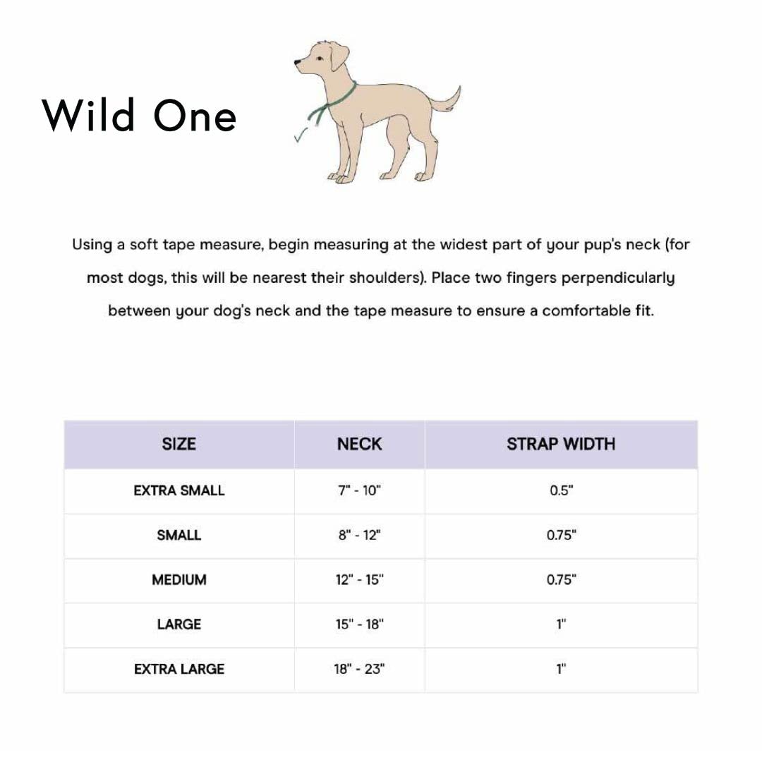 Wild One Dog Collar - Easy-Clean All-Weather Flex-Poly Strap with Metal Buckle | Durable, Odor & Dirt Resistant | Size S Butter Yellow | Perfect for Outdoor Adventures & Daily Walks