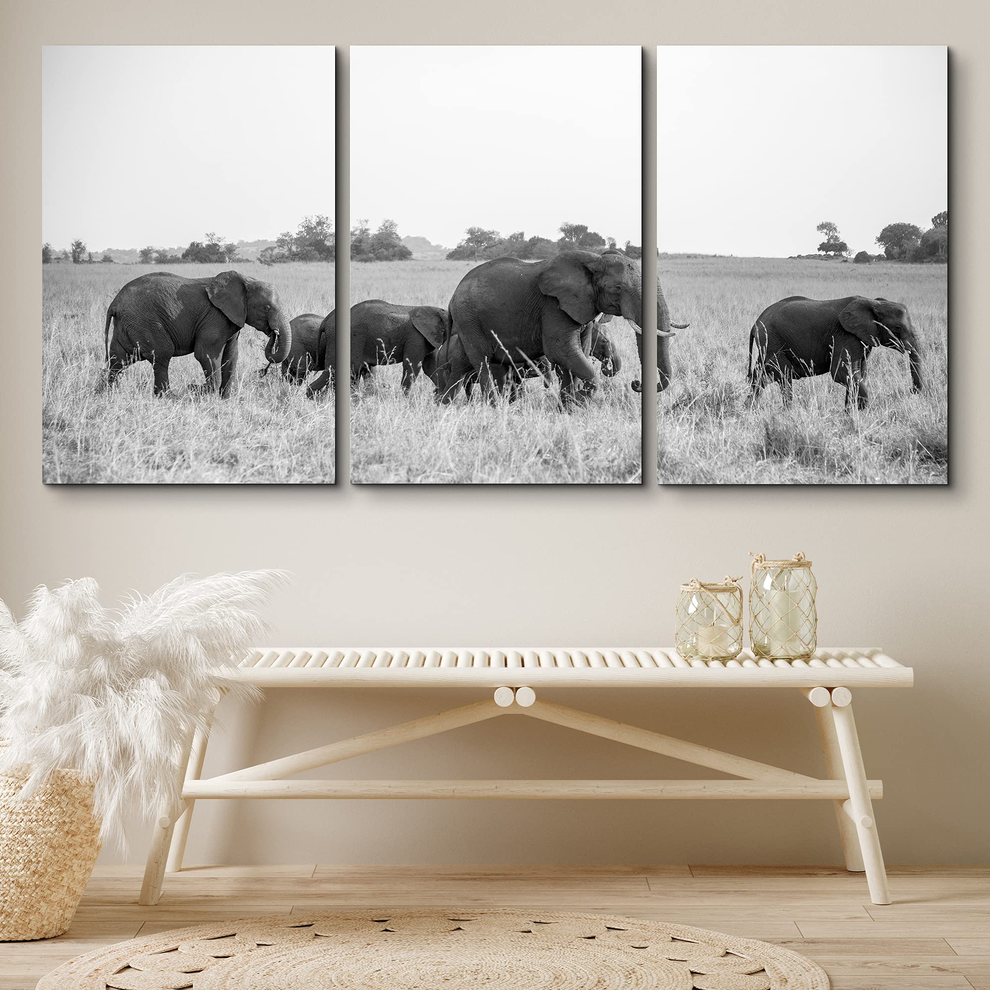 Black and White Elephant Canvas Wall Art - 3 Panels 24