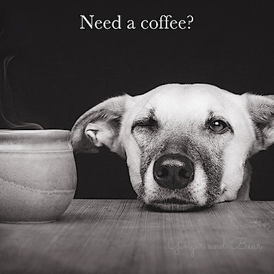 Funny Coffee Postcard - Perfect for Coffee Lovers, Office Gifts & Coworker Appreciation - Great for Birthdays, Thank You Notes & Break Room Decor