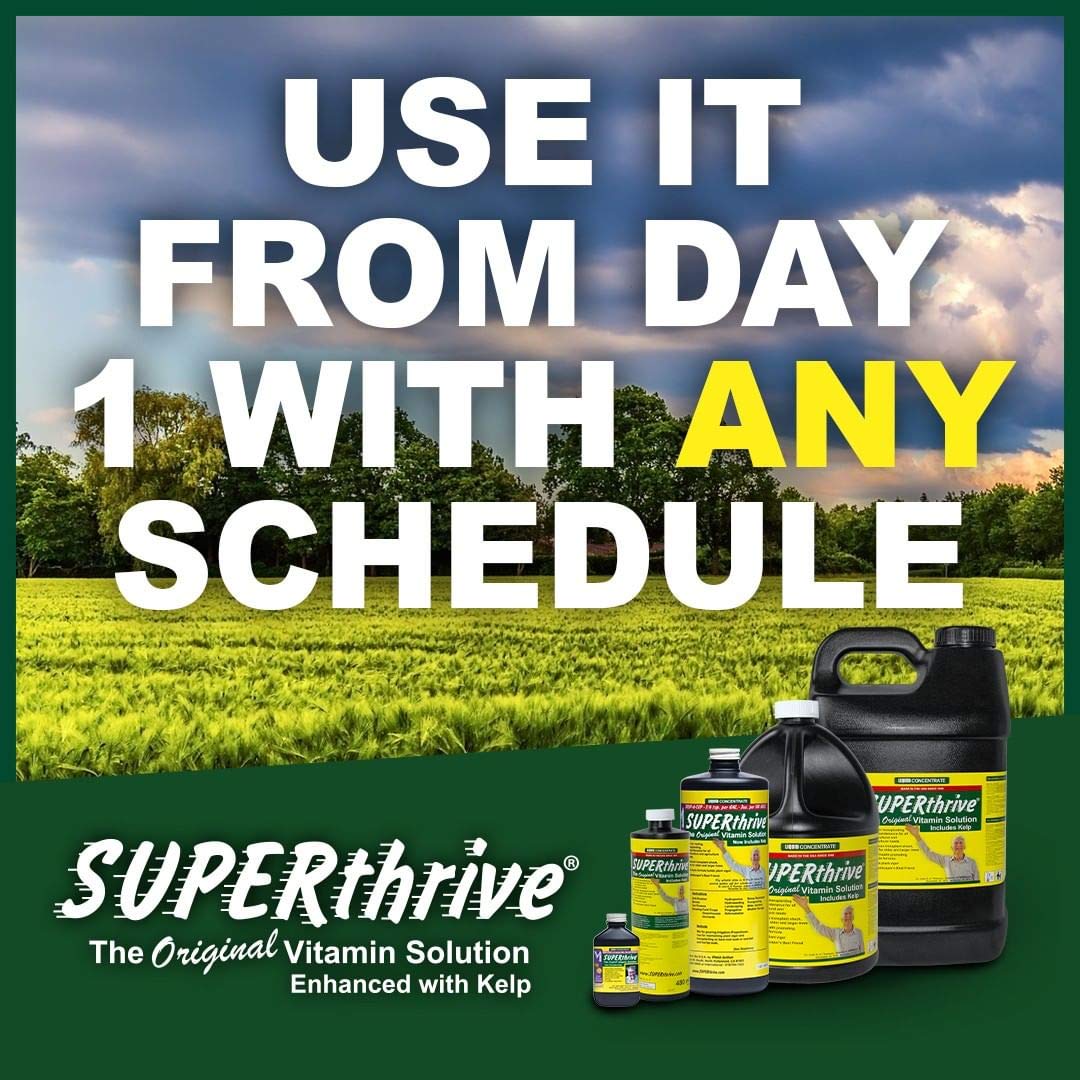 SUPERthrive VI30179 Plant Vitamin Solution - 1 Gallon Clear Liquid for Healthy Growth | Ideal for Indoor Plants, Gardens & Hydroponics