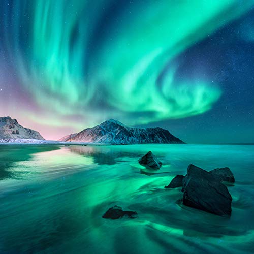 Northern Light