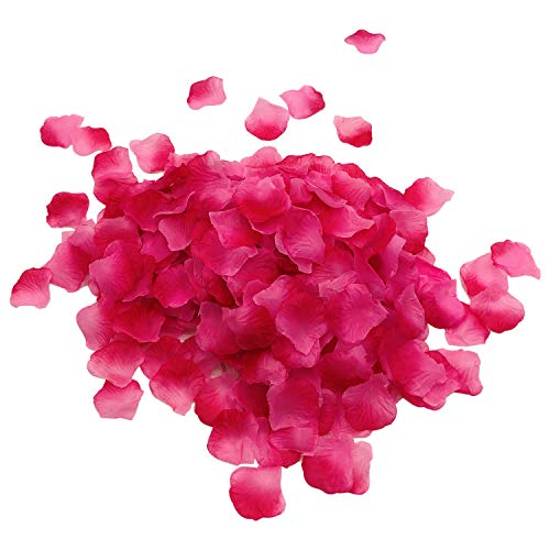 Pink Gradient