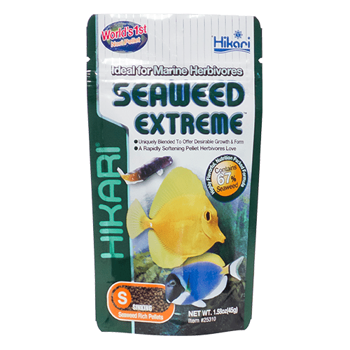 Premium Hikari Seaweed Extreme Pellet Fish Food - Nutrient-Rich Algae Diet for Saltwater & Reef Aquariums - Ideal for Tangs, Angelfish & Herbivorous Marine Fish