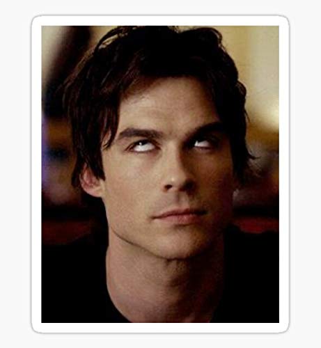 Young Ian Somerhalder Vinyl Stickers - Waterproof Decals for Cars, Trucks, Laptops, Phones & Walls - Perfect for Fans, DIY Decor & Personalizing Your Devices