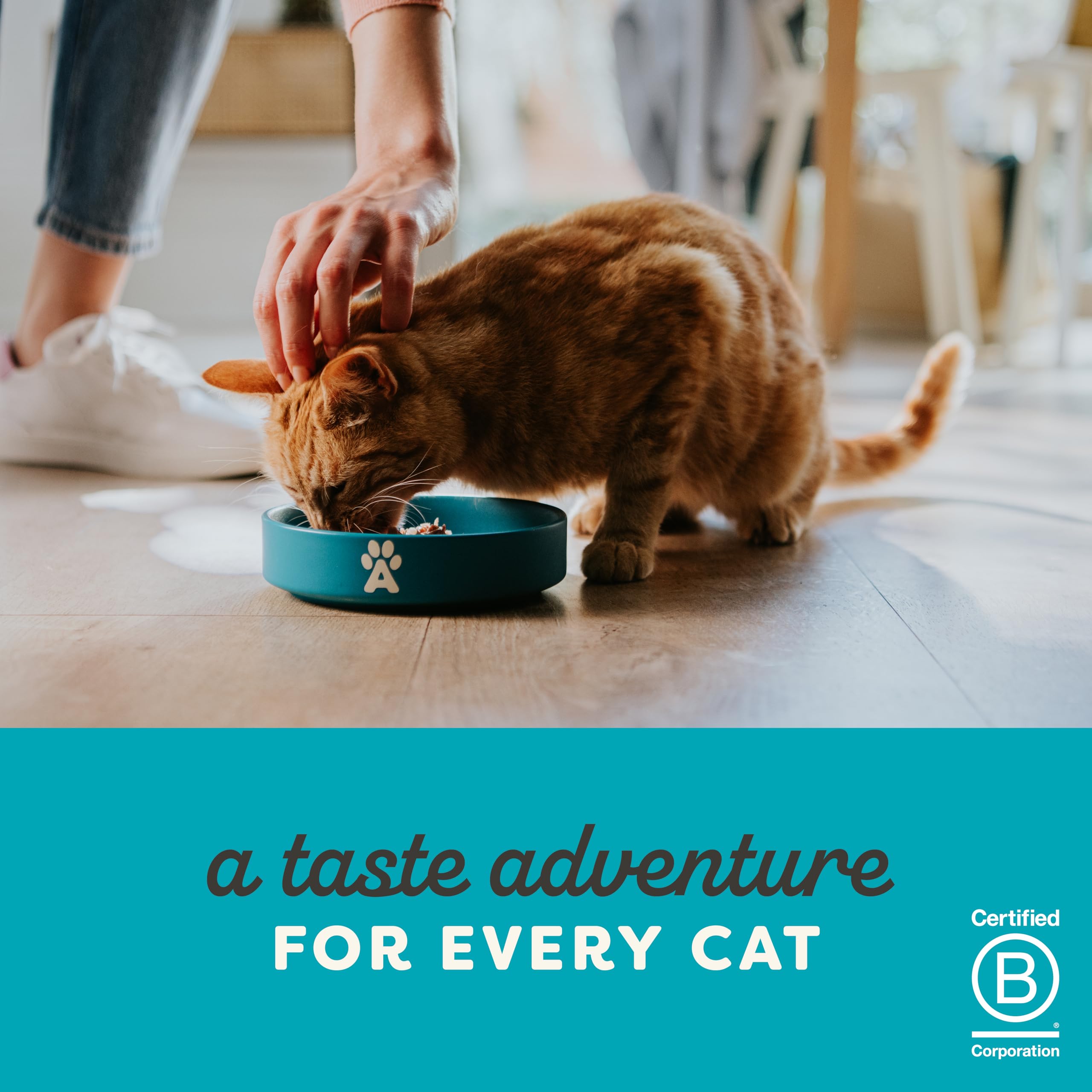 **Applaws Natural Cat Food - Tuna & Mackerel in Jelly, 70g Pouch (Pack of 16) - High-Protein Wet Cat Food for Adult & Senior Cats - Perfect for Mealtime, Travel & Treats**