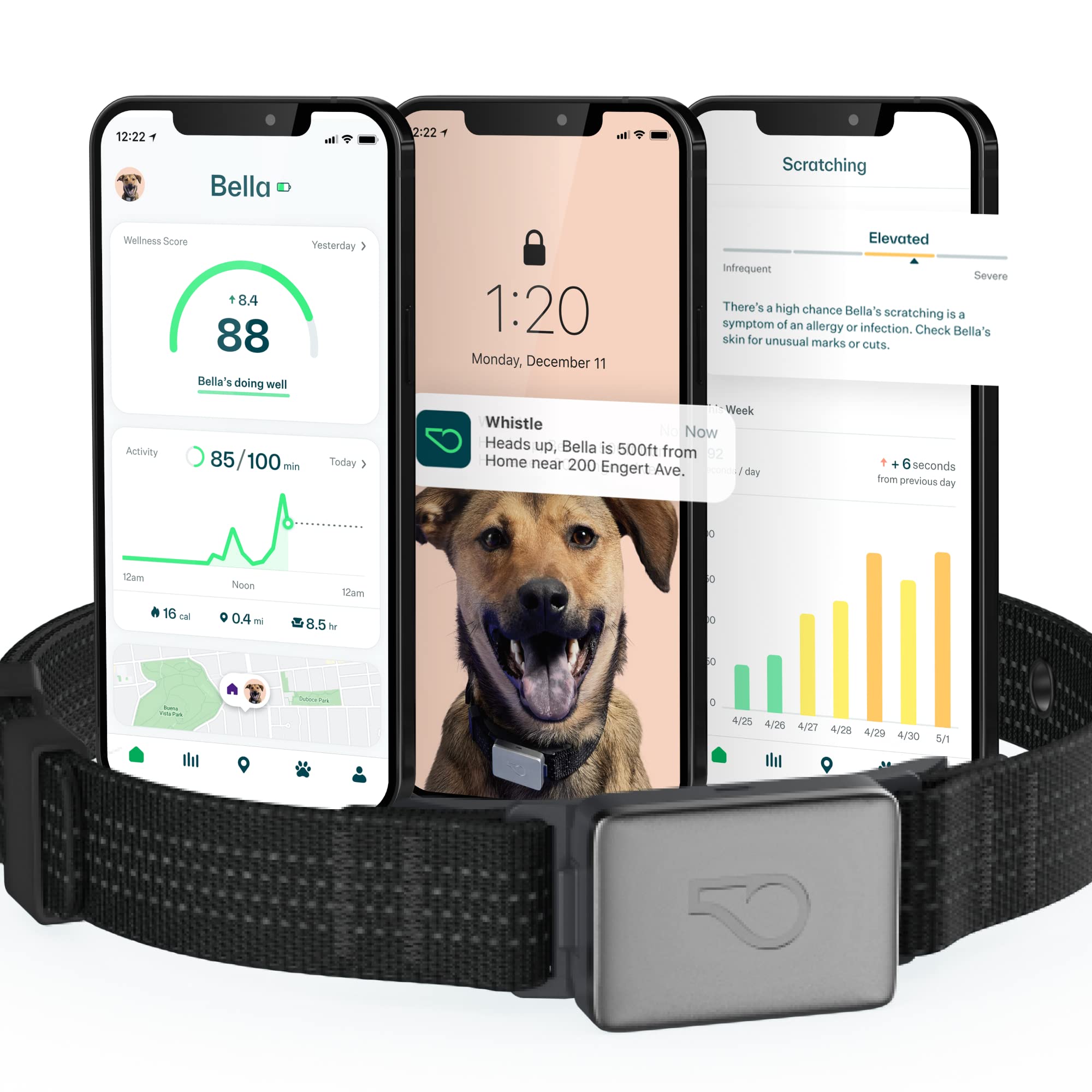 Whistle GPS + Health + Fitness Smart Dog Collar - Waterproof Pet Tracker with Activity Monitor, 24/7 Location Tracking & Rechargeable Batteries (Newest Model, Black, M/L) - Perfect for Outdoor Adventures & Daily Pet Safety