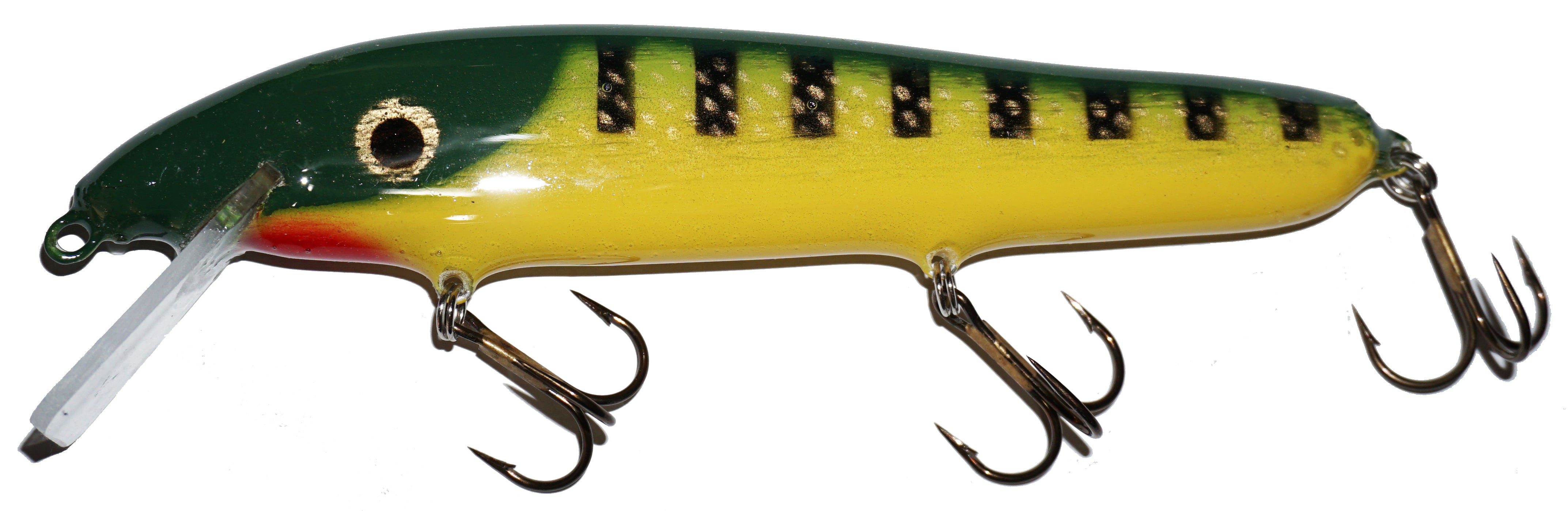 perch yellow belly prism