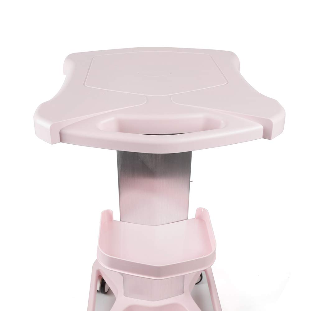 Pink Aluminum Beauty Salon Rolling Cart with Wheels - Large 33lbs Capacity Tray Stand for Hair Styling, Nail & Makeup Tools - Perfect for Salon, Spa, Home & Mobile Beauty Services