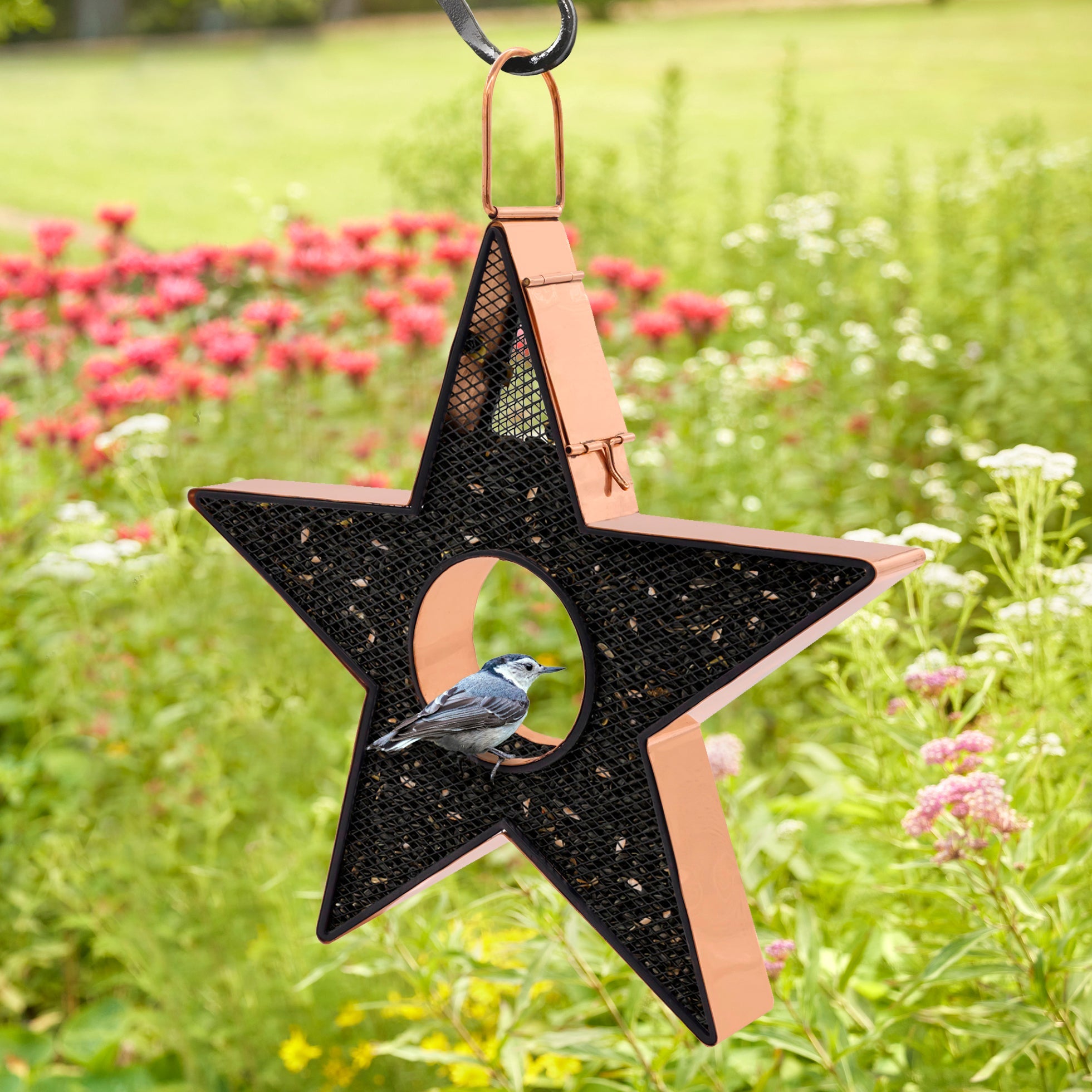 Star Fly Thru™ Copper Bird Feeder with Mesh Panels - Attract Wild Birds to Your Garden, Patio or Backyard - Perfect for Outdoor Bird Watching & Nature Lovers