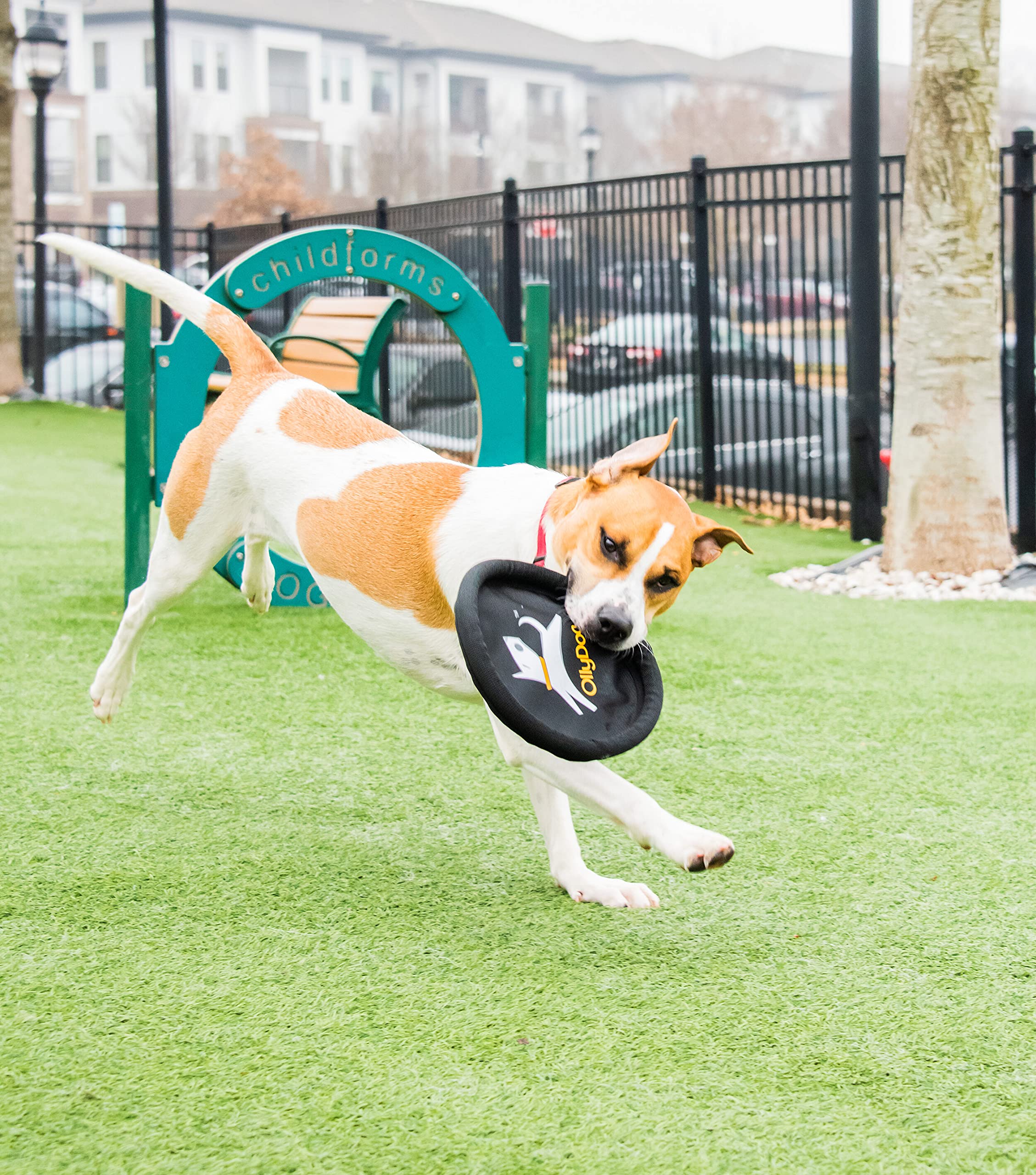 OllyDog Flyer Disc - Soft & Durable Eco-Friendly Dog Frisbee for Outdoor Play | Gentle on Teeth, Floats in Water | Perfect for Beach, Park & Backyard Fetch Games | Recycled Material Woodland Camo Design