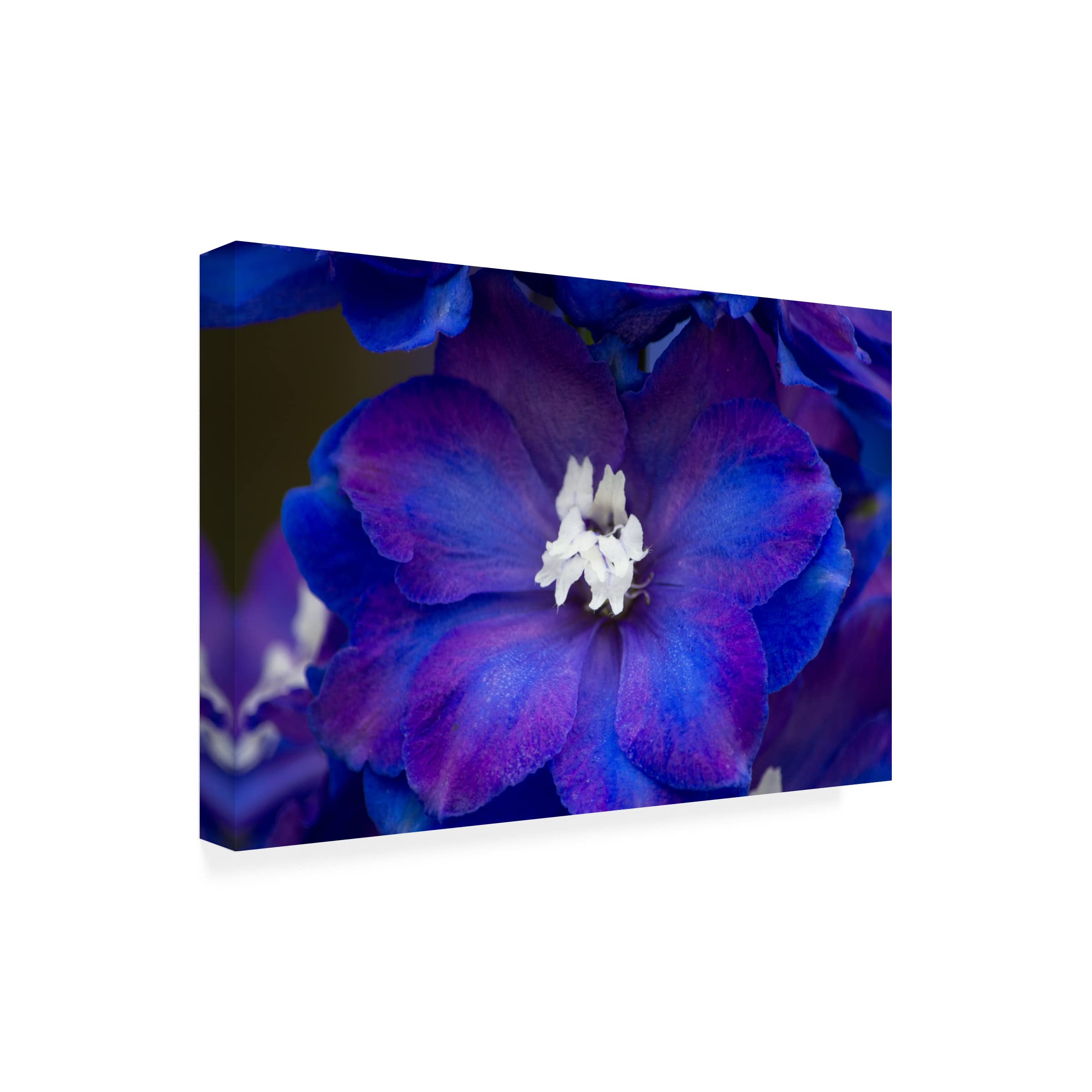 Claudia Gerke 'Purple Eyes' Canvas Art Print - Modern Abstract Wall Decor for Living Room, Bedroom & Office | Trademark Fine Art Collection