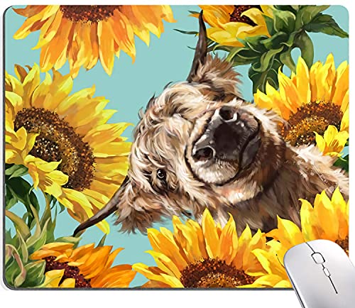 Highland Cow with Sunflowers