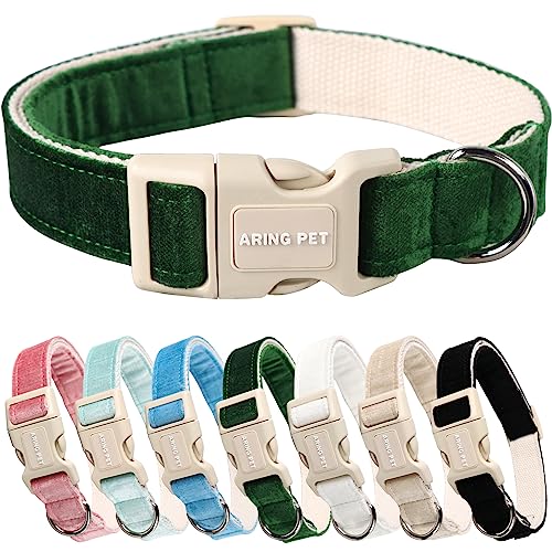 Y:Dark green