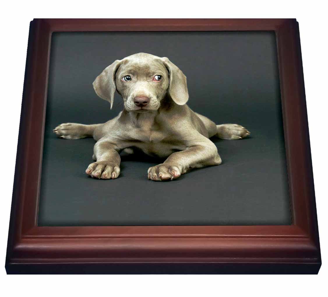 3D Rose Weimaraner Puppy Trivet with Ceramic Tile - 8x8 Inch Brown Heat Resistant Coaster for Hot Dishes - Perfect for Kitchen, Dining Table, and Home Decor