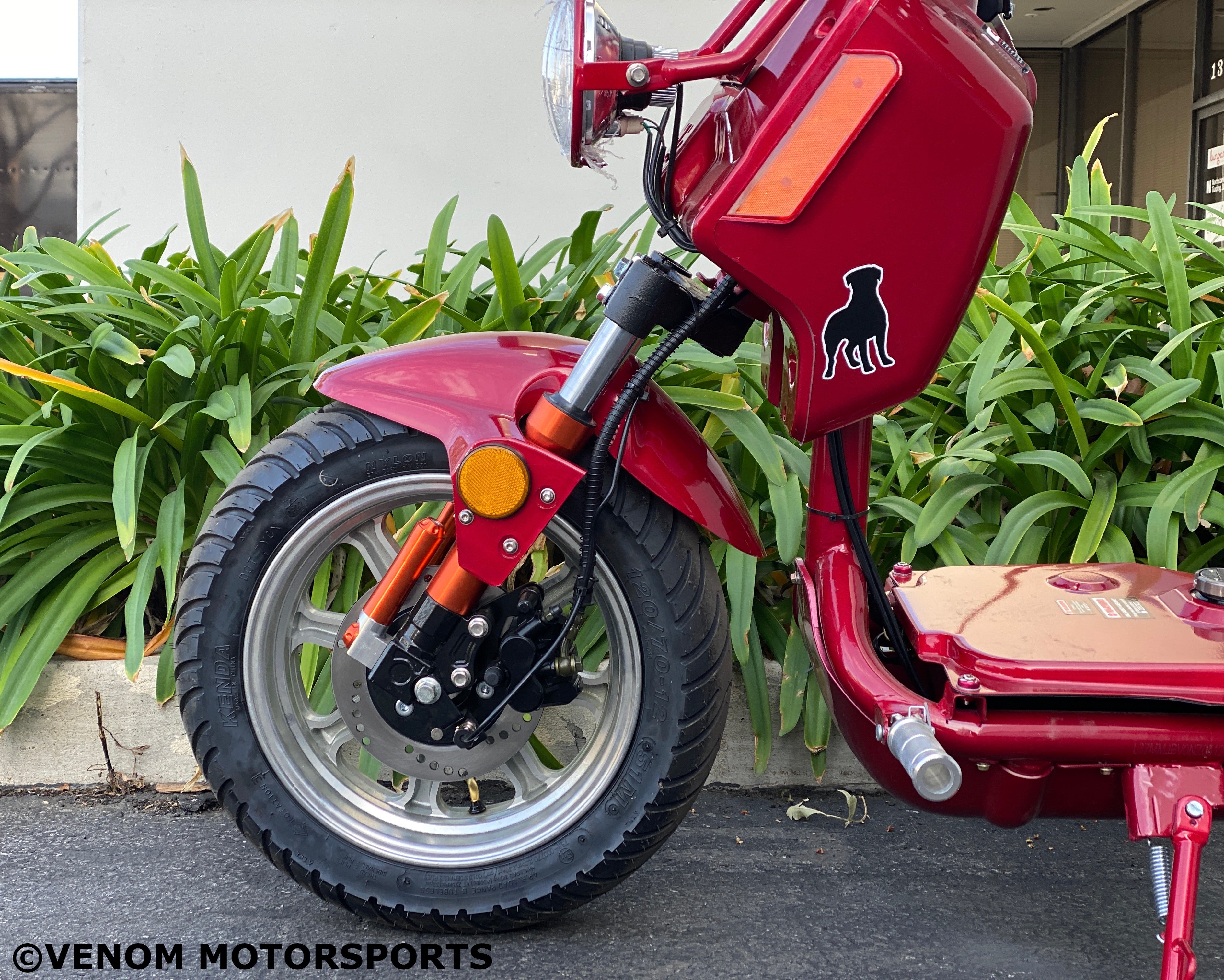 50cc Maddog Scooter Generation 4 - Automatic Transmission Gas Powered Moped for Adults - Perfect for Urban Commuting & Short Distance Travel
