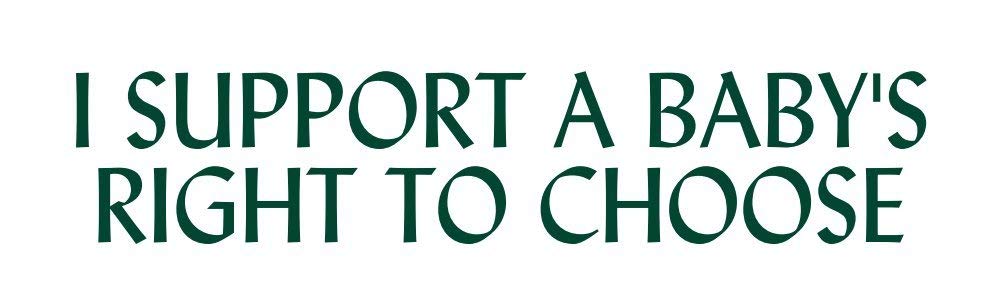 Pro Life Vinyl Magnetic Car Bumper Sticker - 5