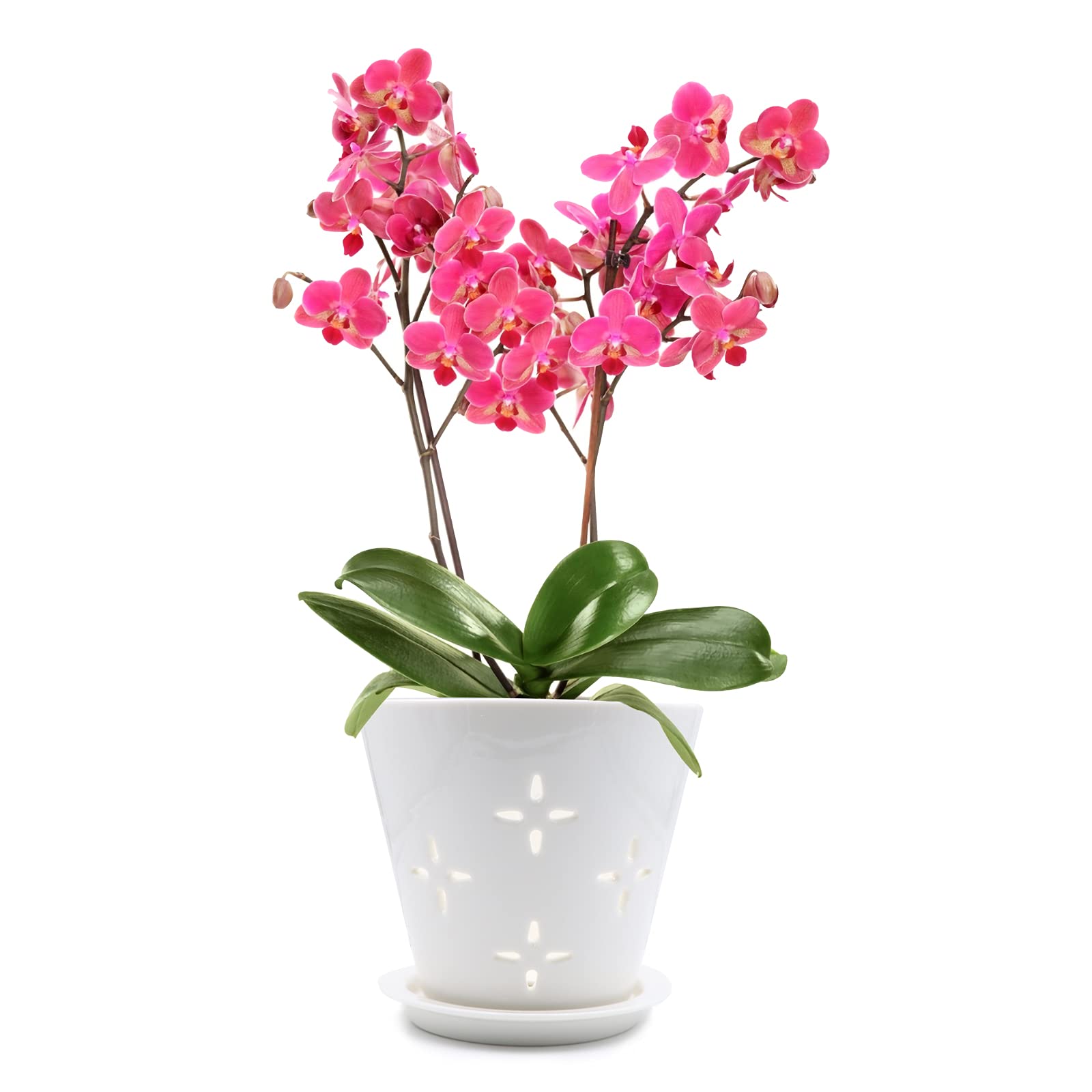 White Ceramic Orchid Pot with Drainage Holes & Saucer - 7.1 Inch Air Plant Flower Pot for Indoor & Outdoor Use - Perfect for Home Decor, Orchids, Succulents, and Houseplants