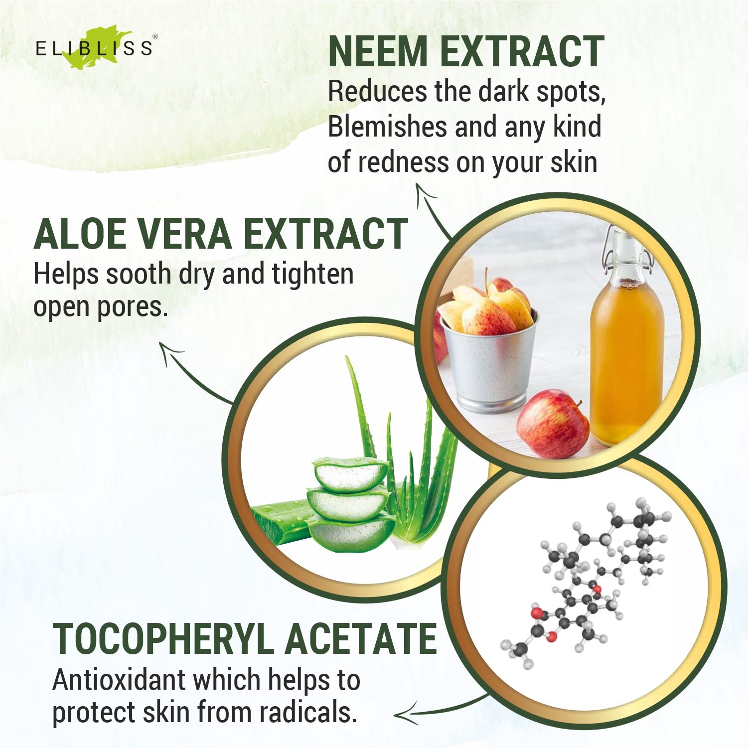 ELIBLISS Aloe Vera & Neem Refreshing Gel Face Wash for Glowing Skin - Gentle Daily Exfoliating Facial Cleanser (Pack of 2) | Hydrating & Soothing for Acne-Prone & Sensitive Skin | Morning & Night Skincare Routine
