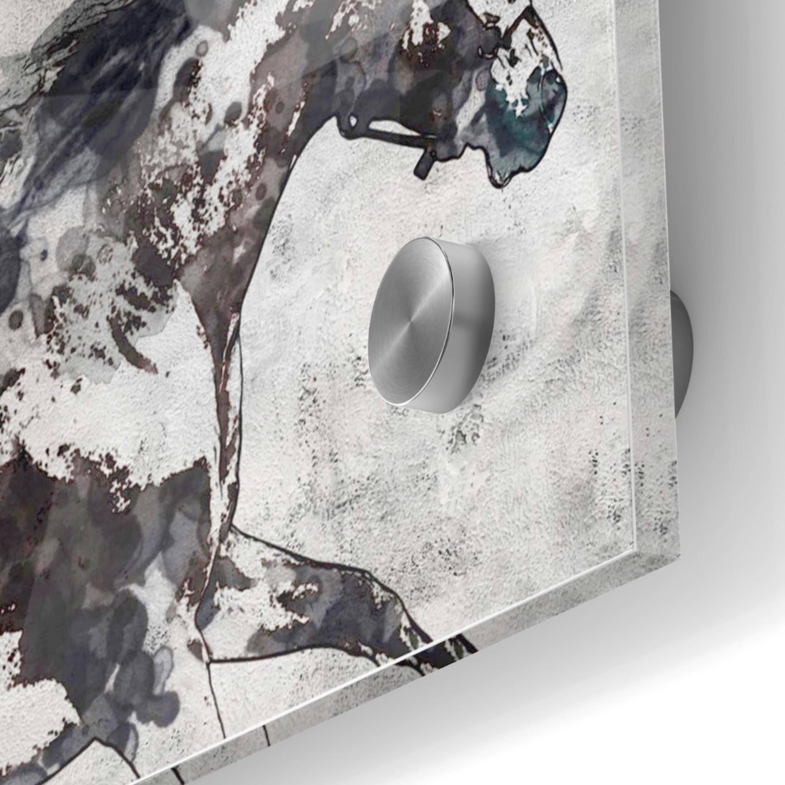 Epic Art 'Bay Horse 4' by Irena Orlov - Premium Acrylic Glass Wall Art Painting 24x24 Inches - Modern Home & Office Decor for Living Room, Bedroom, or Gallery Display