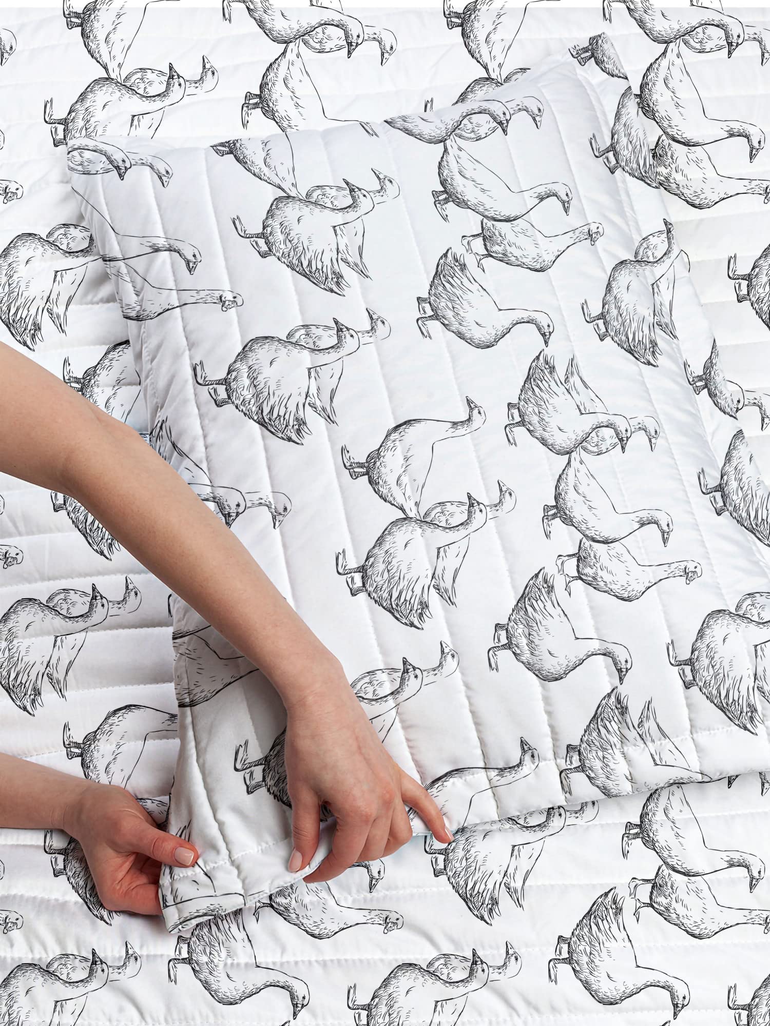 Ambesonne Goose Microfiber Bedspread Set - Monochrome Hand-Drawn Bird Design on Plain Background | Soft Twin Size Comforter with Pillow Sham | Charcoal Grey & White | Perfect for Bedroom Decor, Guest Rooms & Cozy Winter Nights