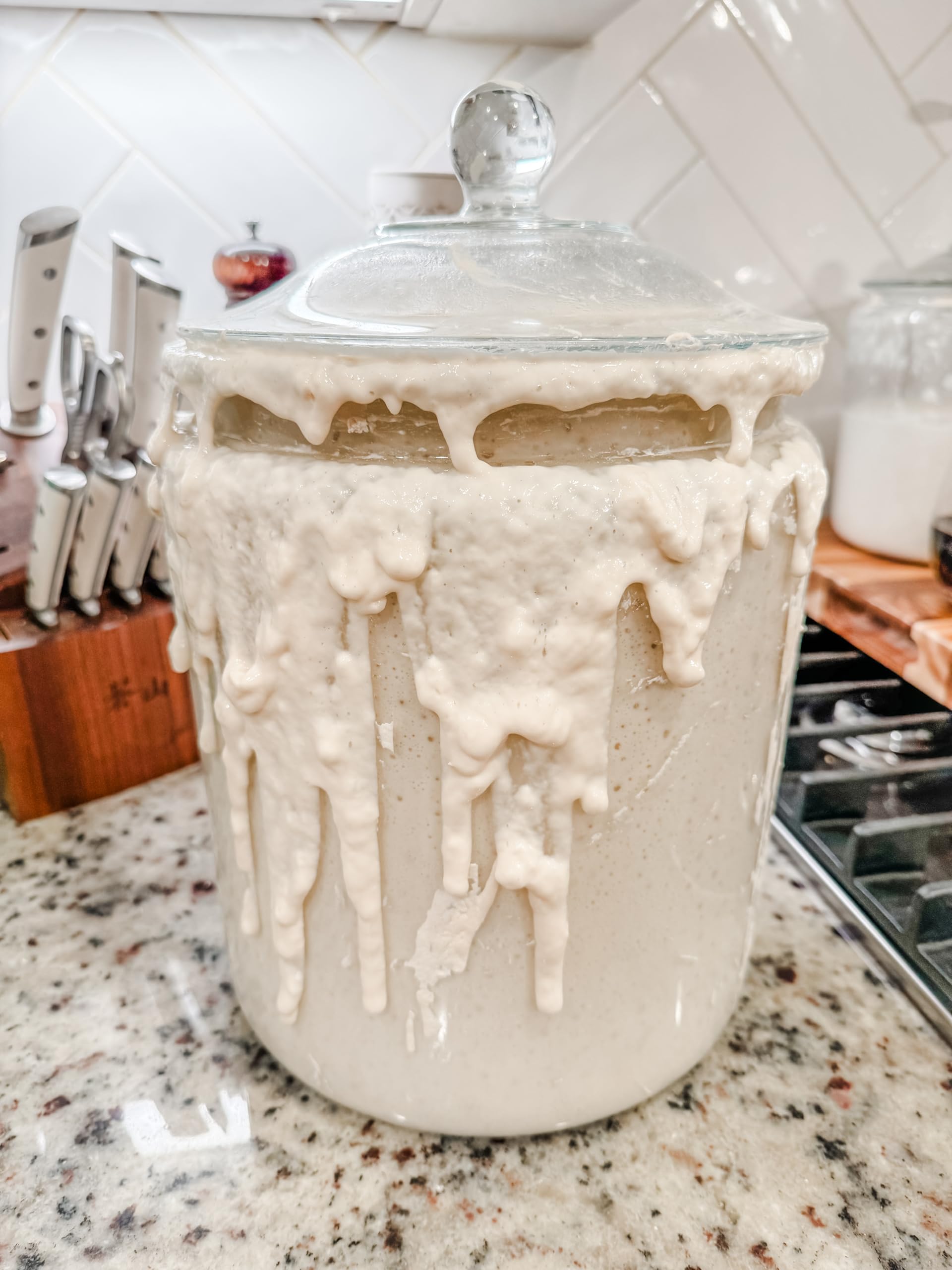 Eve - The Southern Sourdough Co. Dehydrated Sourdough Starter | 10g Organic Sourdough Starter Kit for Beginners | Quick & Easy Activation | Homemade Artisan Bread Baking | TikTok Viral Baking Supplies | Perfect for Sourdough Bread, Pizza Dough & Pastries