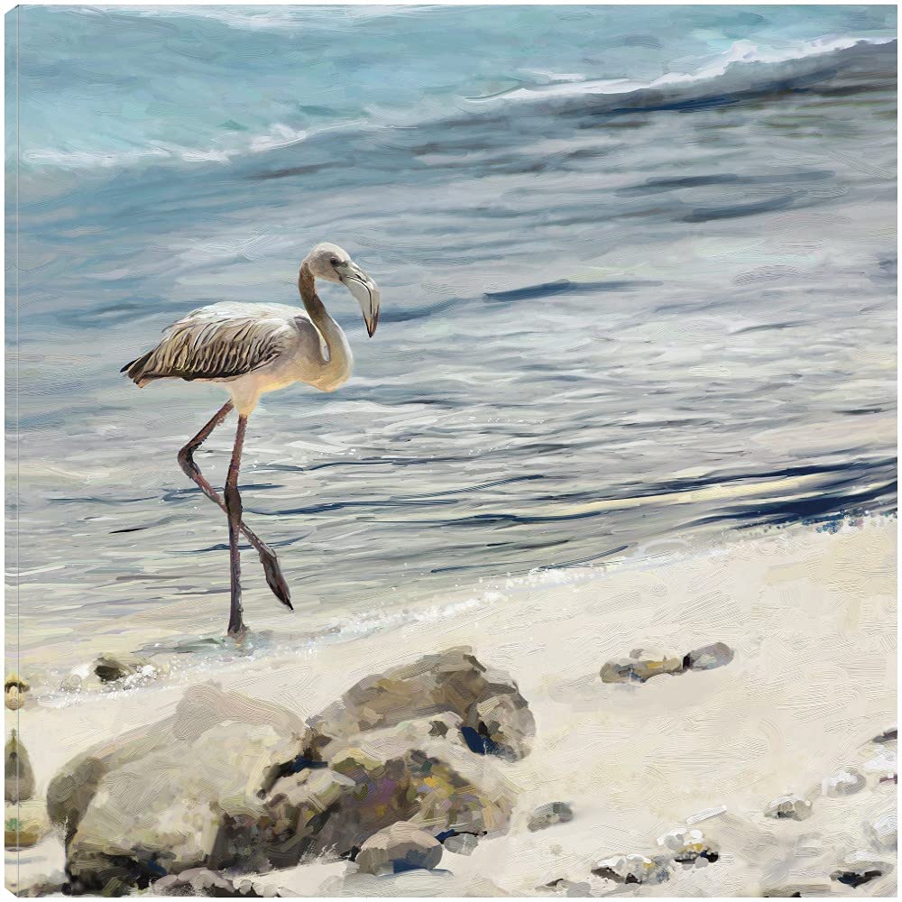Hand-Painted Shorebird Fine Art Canvas Wall Decor - 37x37 Inch Ready to Hang Painting for Living Room, Bedroom & Office - Coastal Theme Home Decor | Perfect for Beach House, Nautical Nursery & Seaside Dining Room