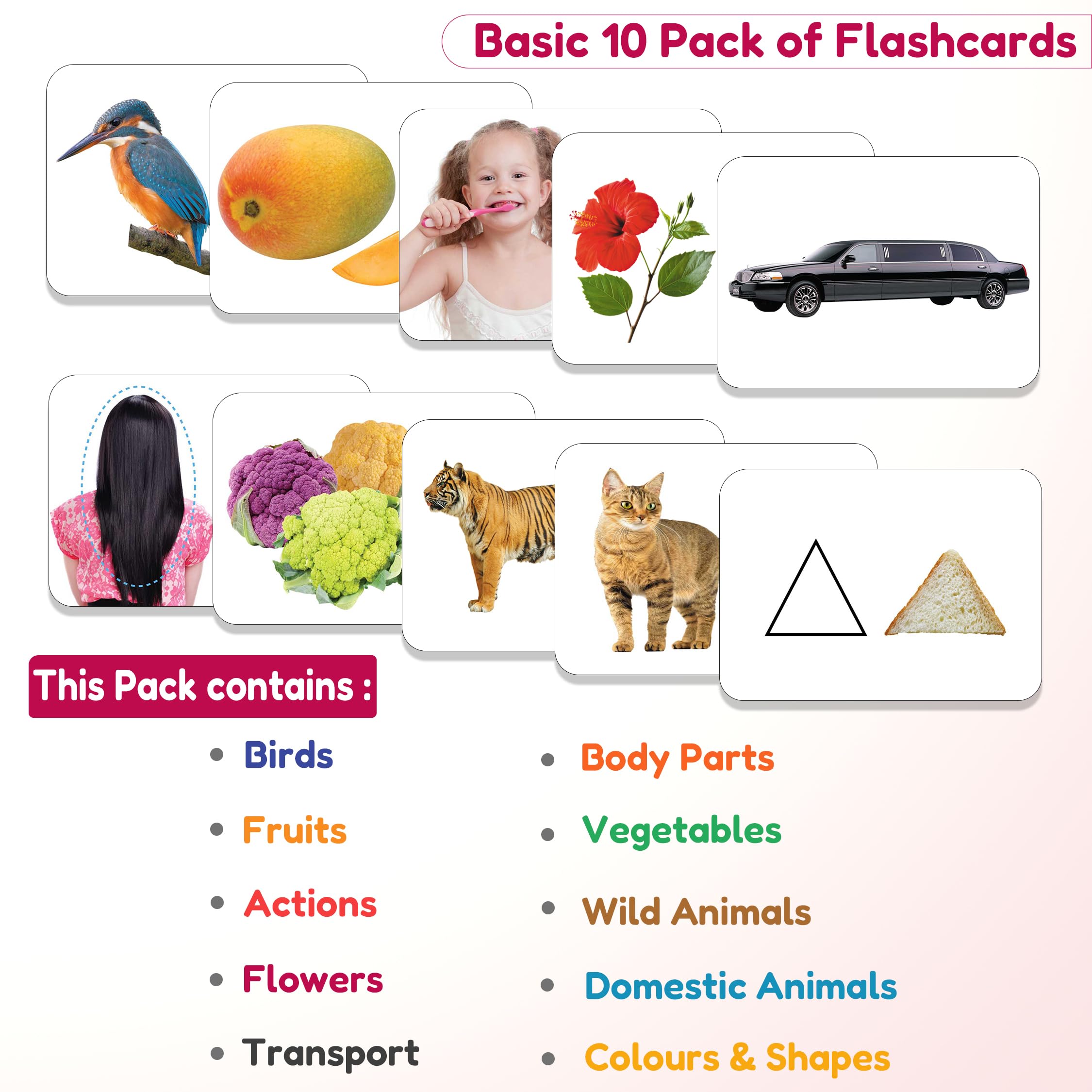 Montessori Flash Cards for Toddlers 1-4 Years - 240 Double-Sided Educational Cards (480 Sides) | Preschool & Kindergarten Learning Activities | Perfect Gift for Babies & Kids | Ideal for Early Childhood Development & Home Schooling
