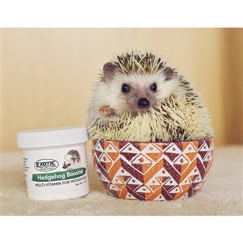Exotic Nutrition Hedgehog Home & Starter Kit - Durable Cage, Exercise Wheel, Healthy Hedgehog Food, Natural Treats, Multi-Vitamin & Hideout for Small Pets - Perfect for Hedgehog Habitat Setup & Daily Care